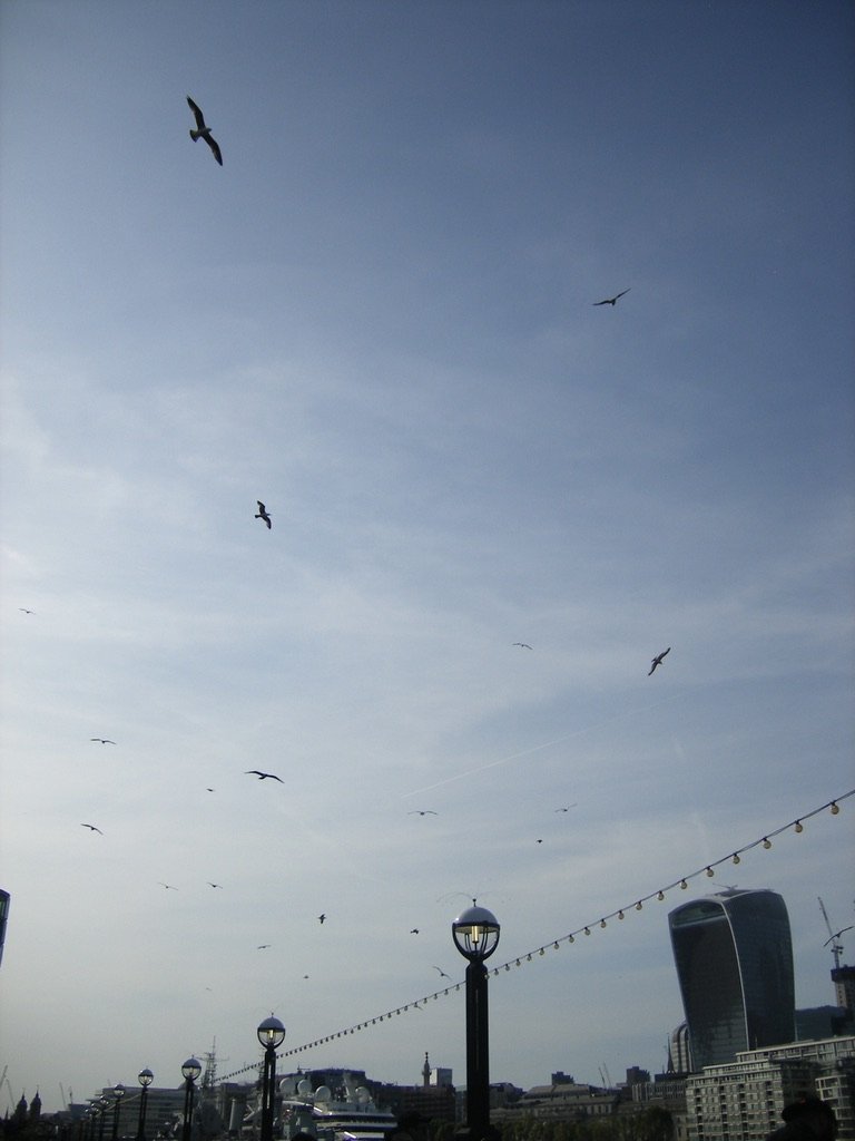 6FC4842B-03C7-405C-BC05-D5C38A6CBF2A_1_105_c.jpeg