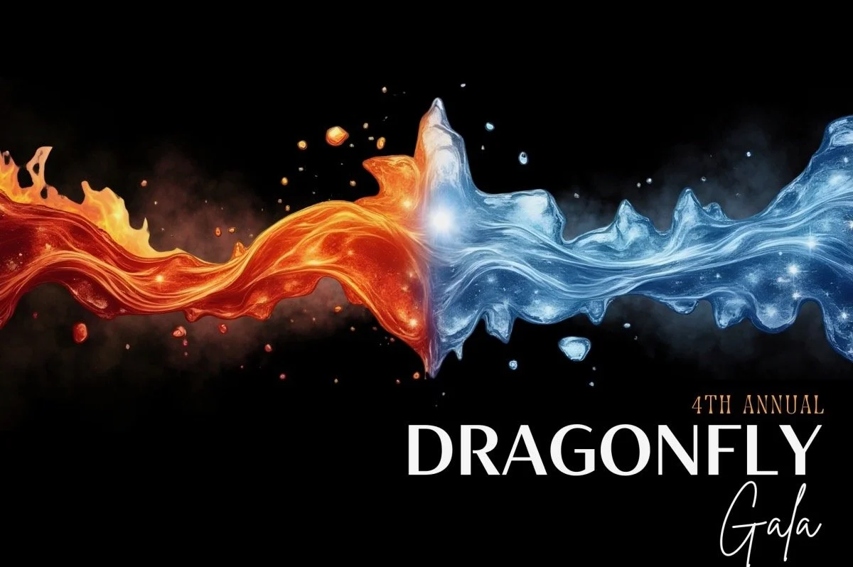 “Fire and Ice”  4th Annual Dragonfly Gala