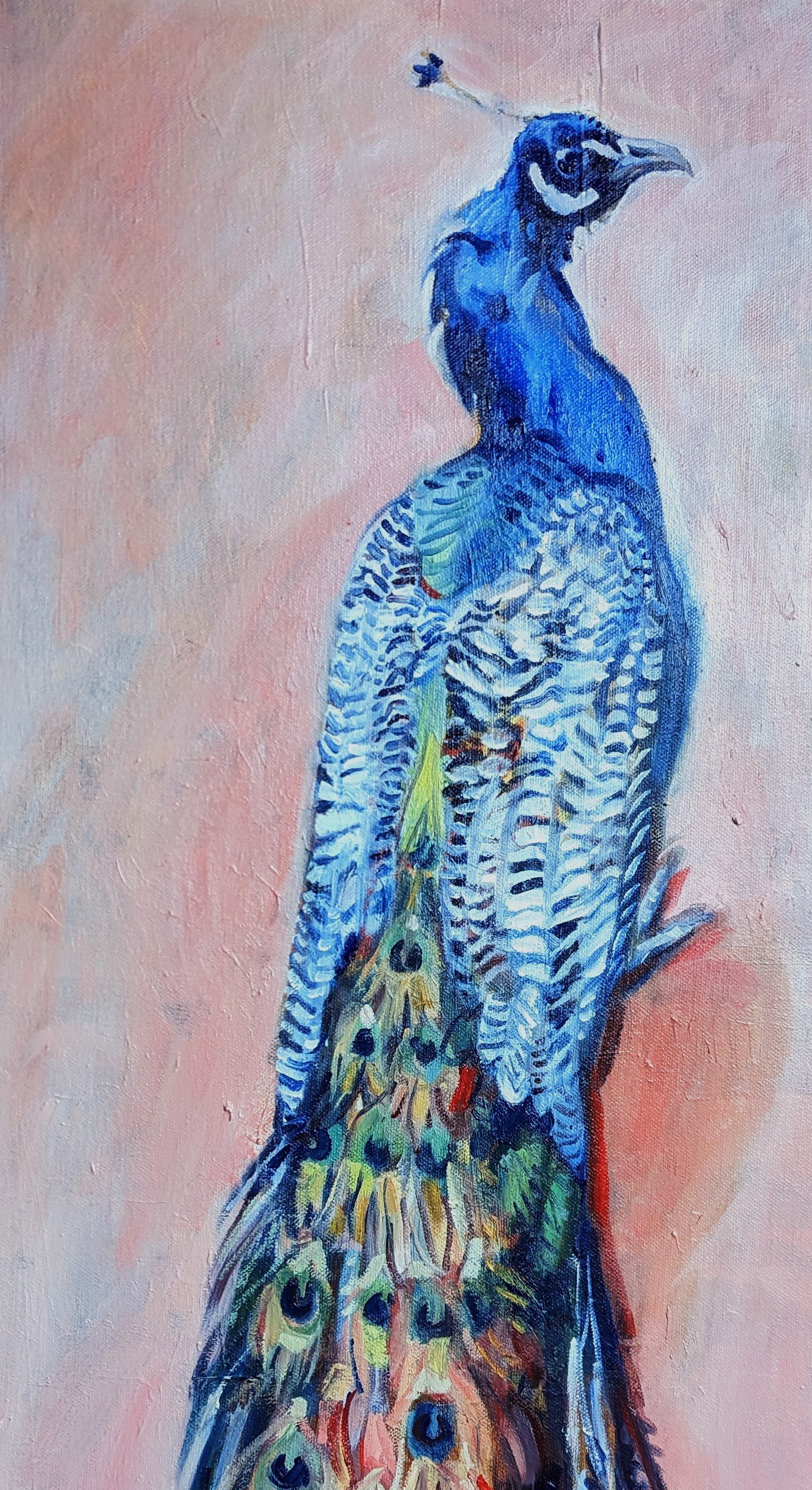 Peacock (2022). Oil on canvas, 30 x 60cm