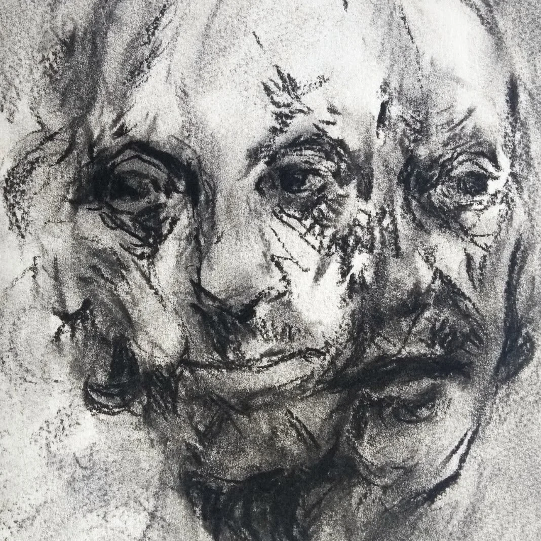 Rob II (2020). Charcoal on Paper, 21 x 29cm