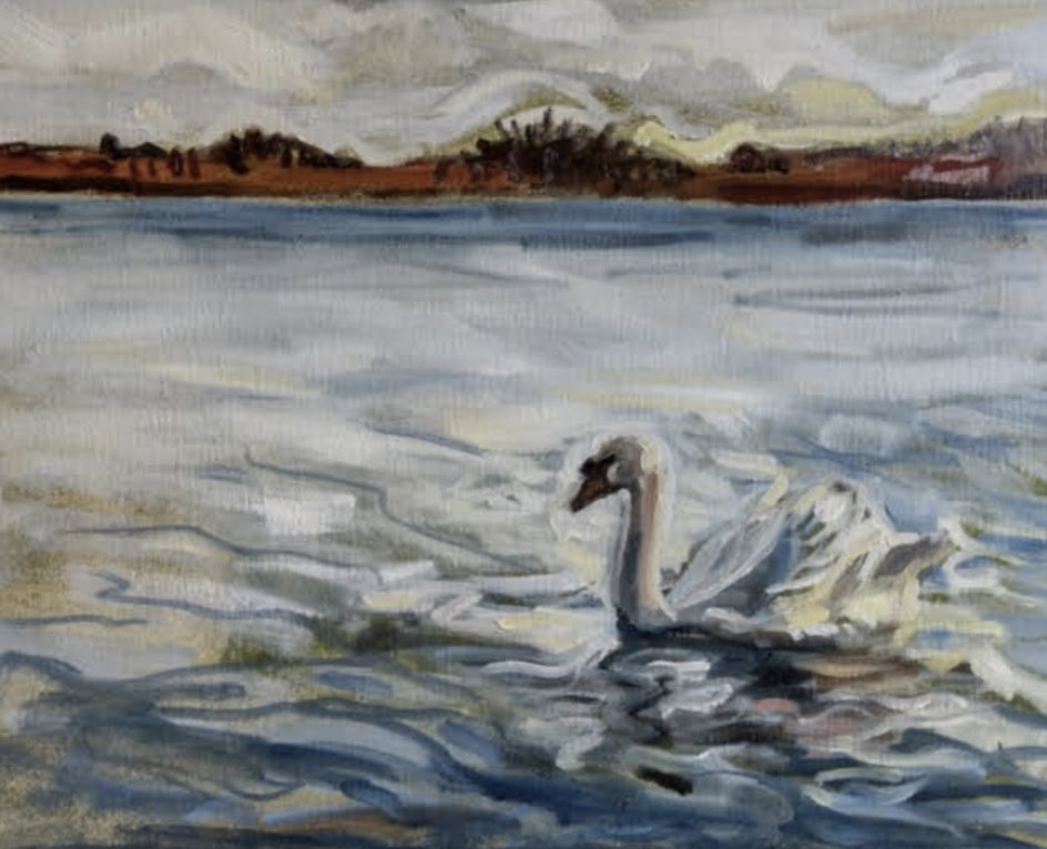 Swan (2021). Oil on canvas, 30 x 40cm