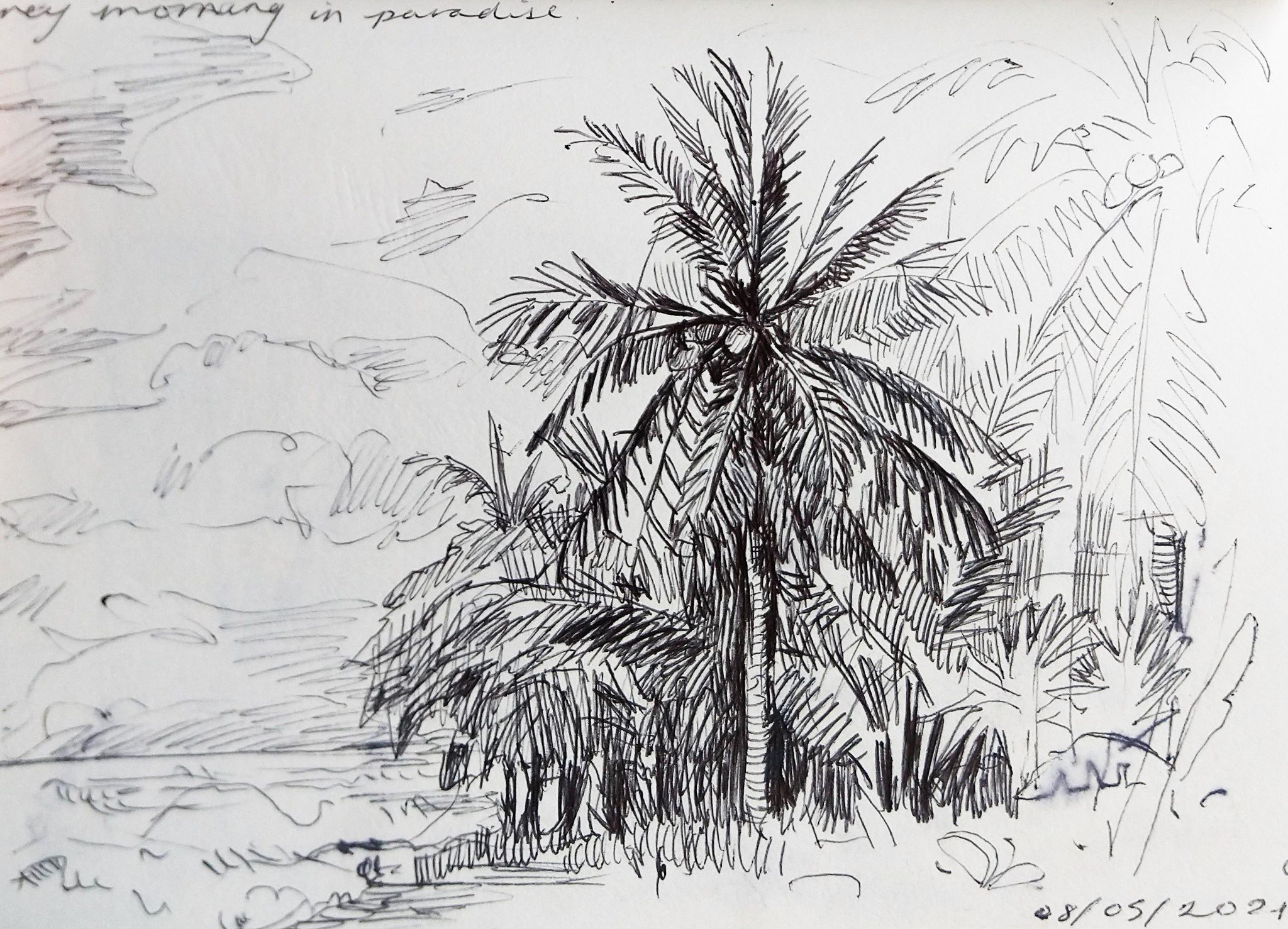 Palms of the Caribbean Coast (2021). Pen on paper, 14 x 21cm