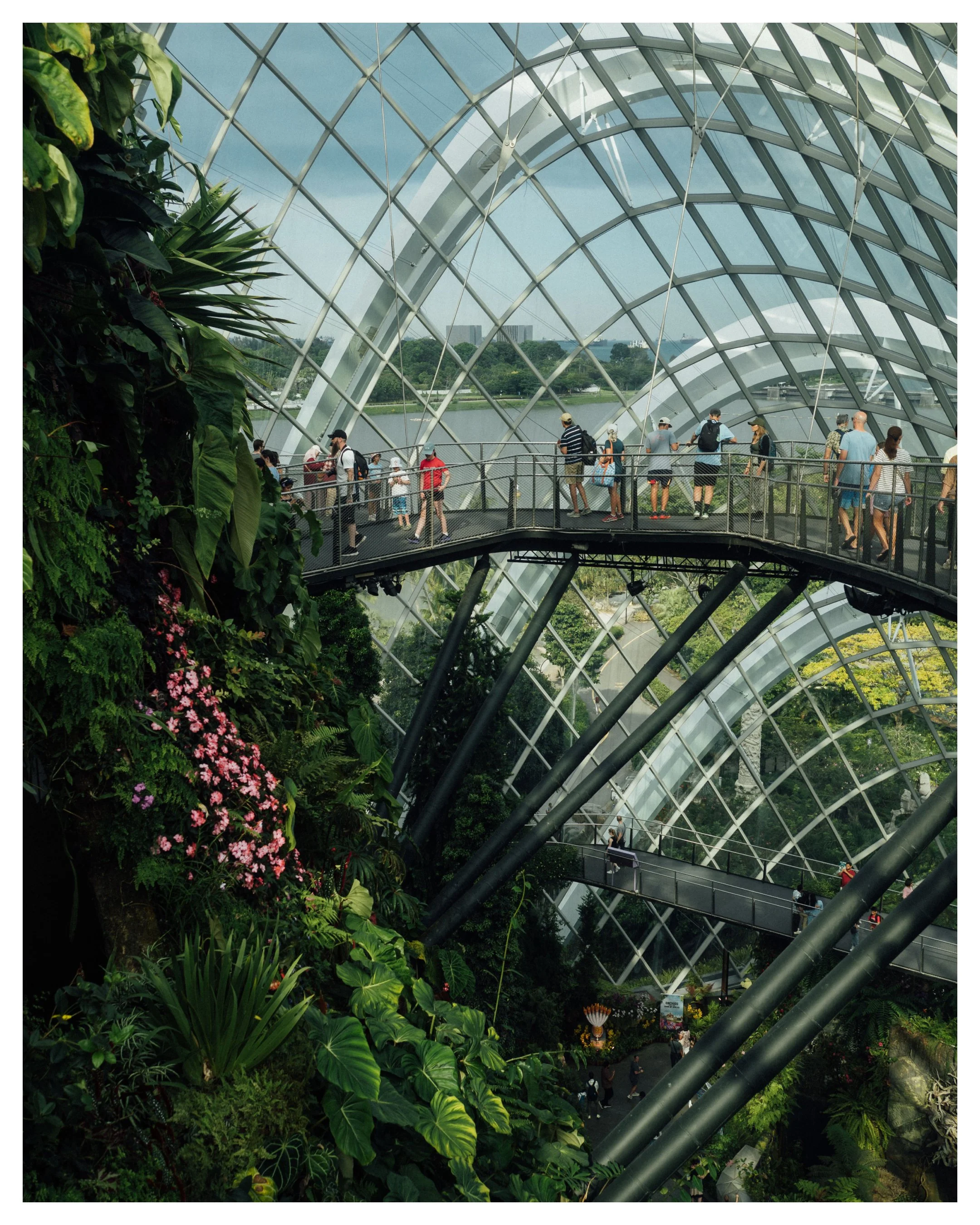 Singapore - Cloud Forest.jpg