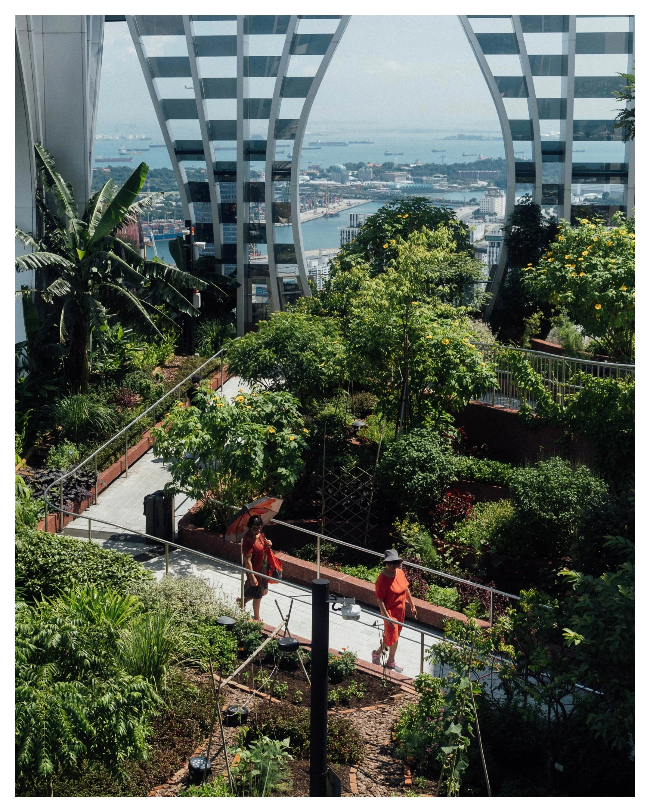 Singapore - Sky Garden.jpg