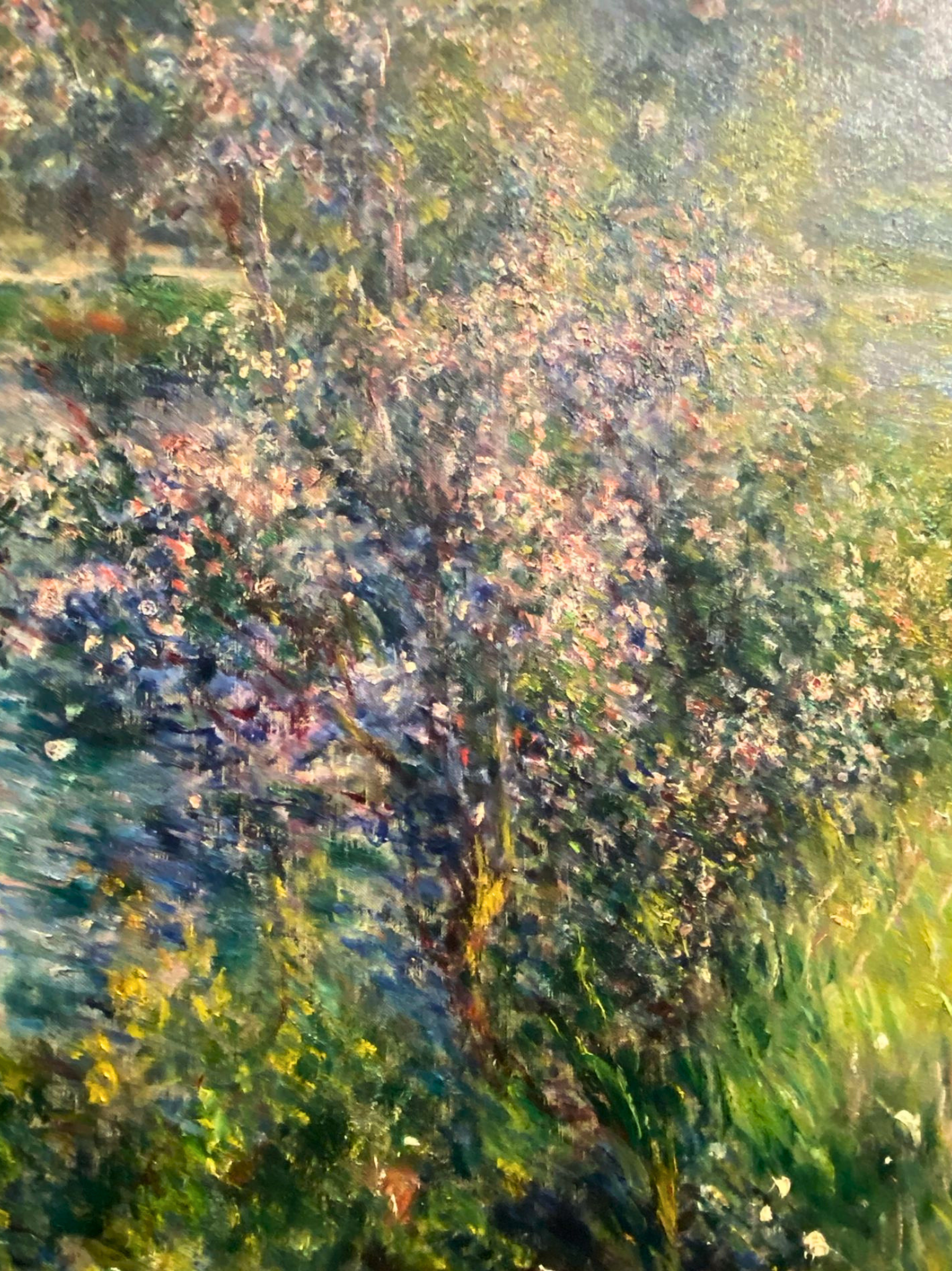 The Seine at Chatou - Renoir - The Museum of Fine Arts Boston