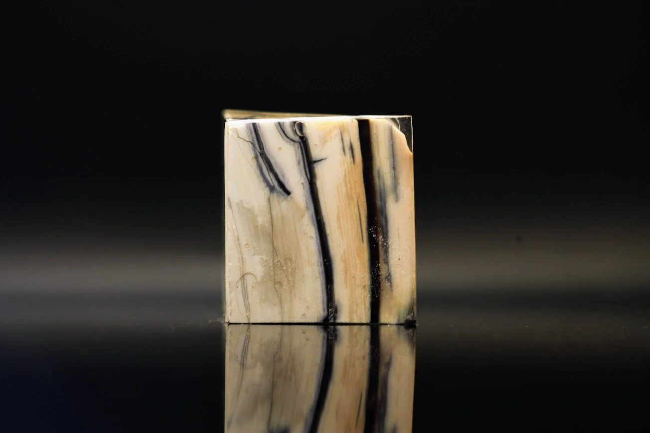 nærbillede af mammutstødtand med kontrast mellem hvid og sort struktur