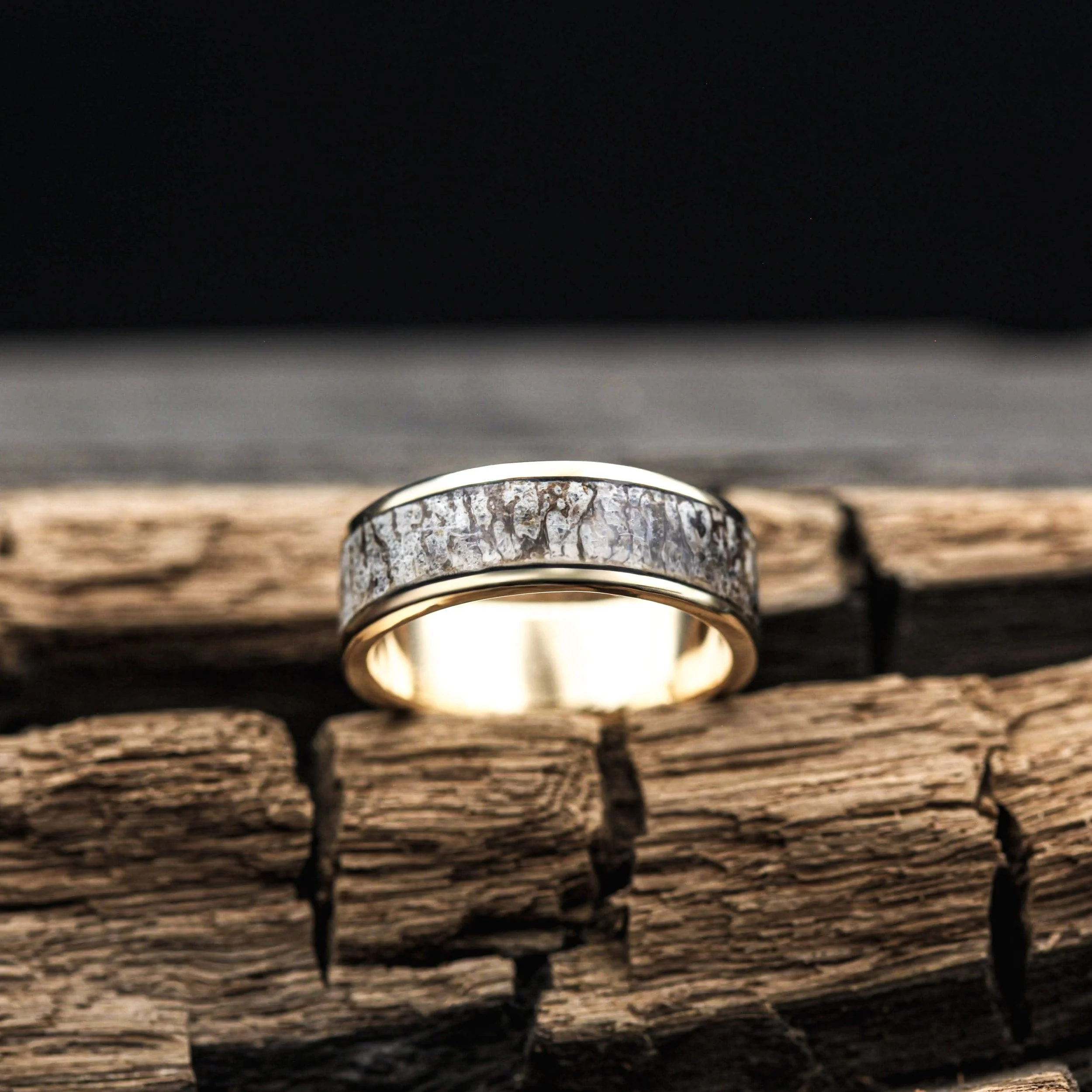 håndlavet guldring med dinosaurusfossil skabt som unikt smykke