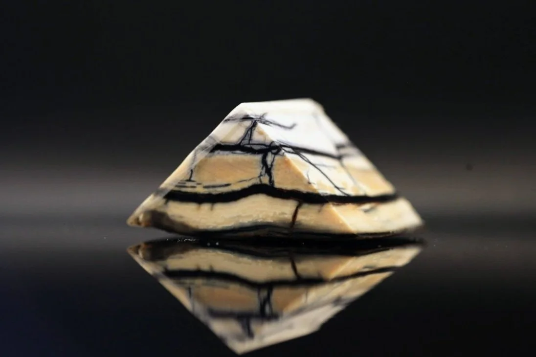 mammutstødtand med naturlige hvide og sorte farvespil anvendt i smykkedesign