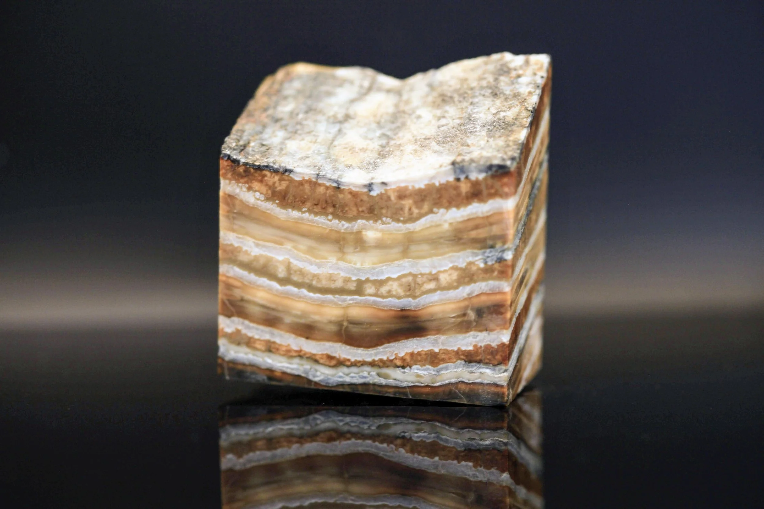 Materialer til smykker bestående af lys mammut kindtand, rødlig dinosaur knogle, guldring og blå mammut kindtand