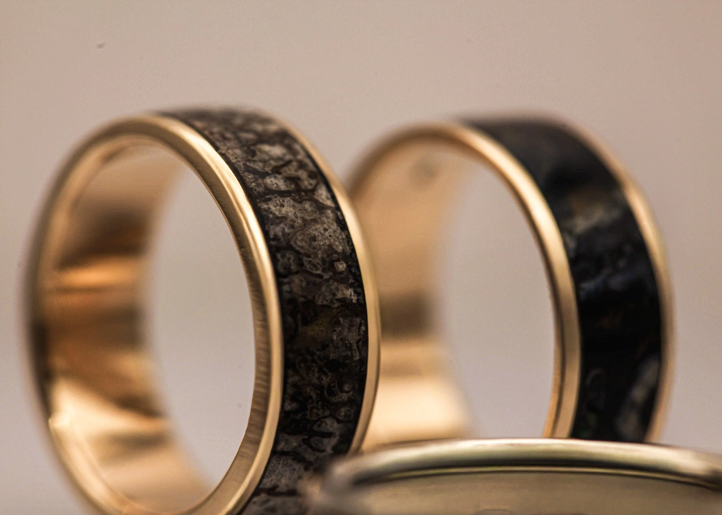 Closeup af ringe i guld og fossilt dinosaurmateriale med fokus på struktur og detaljer