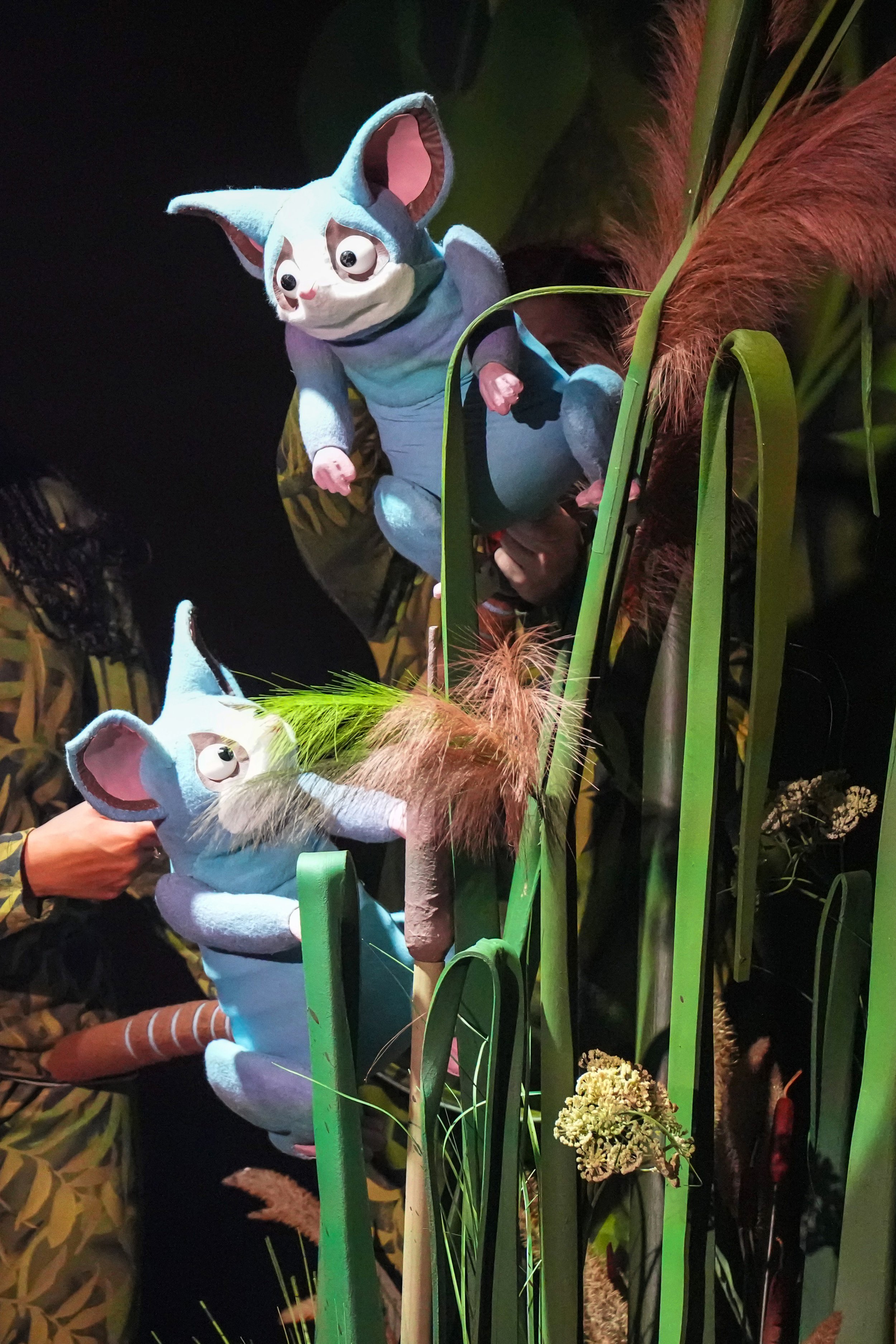 284 CTC Crocodile.JPG