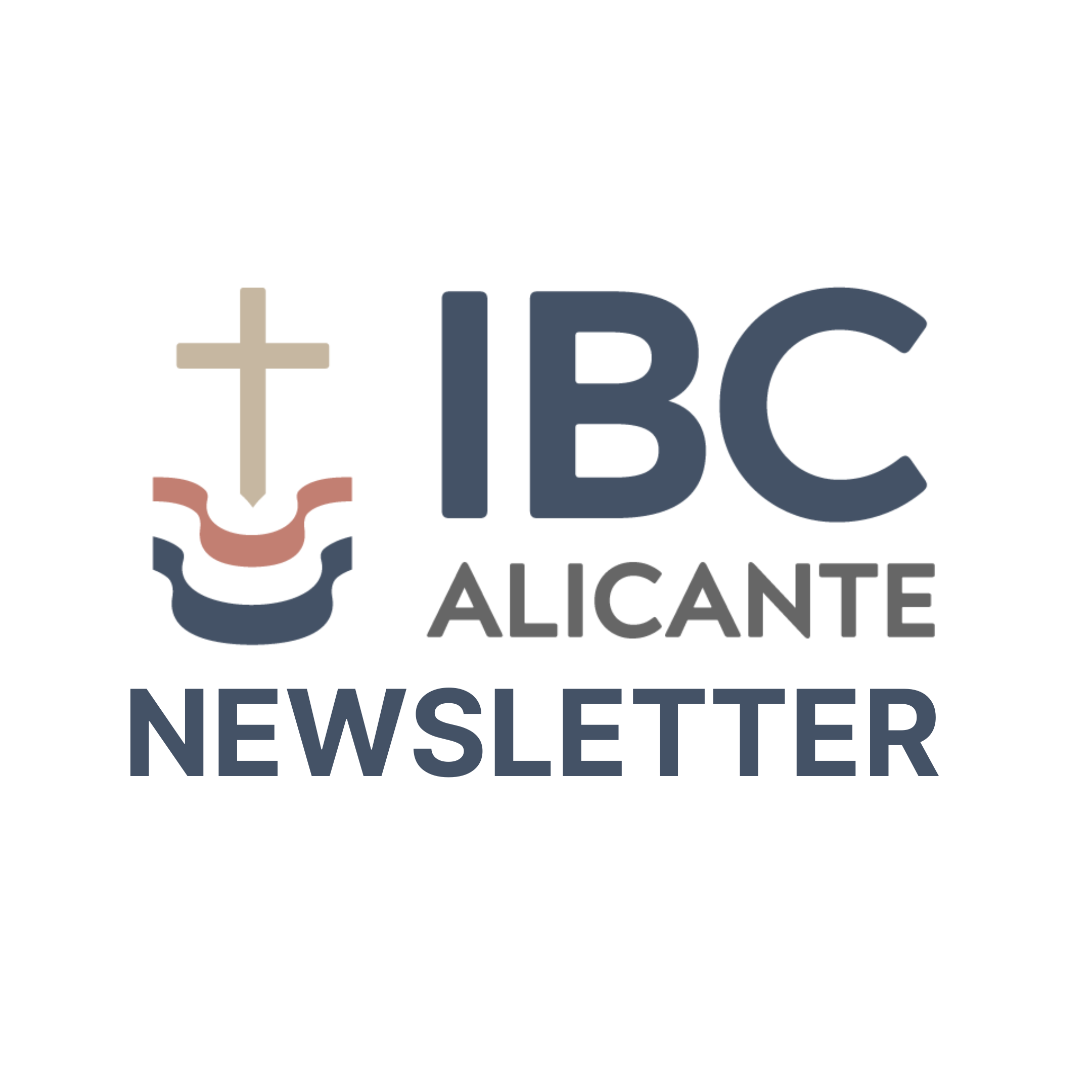 IBCA Newsletter 08-2025