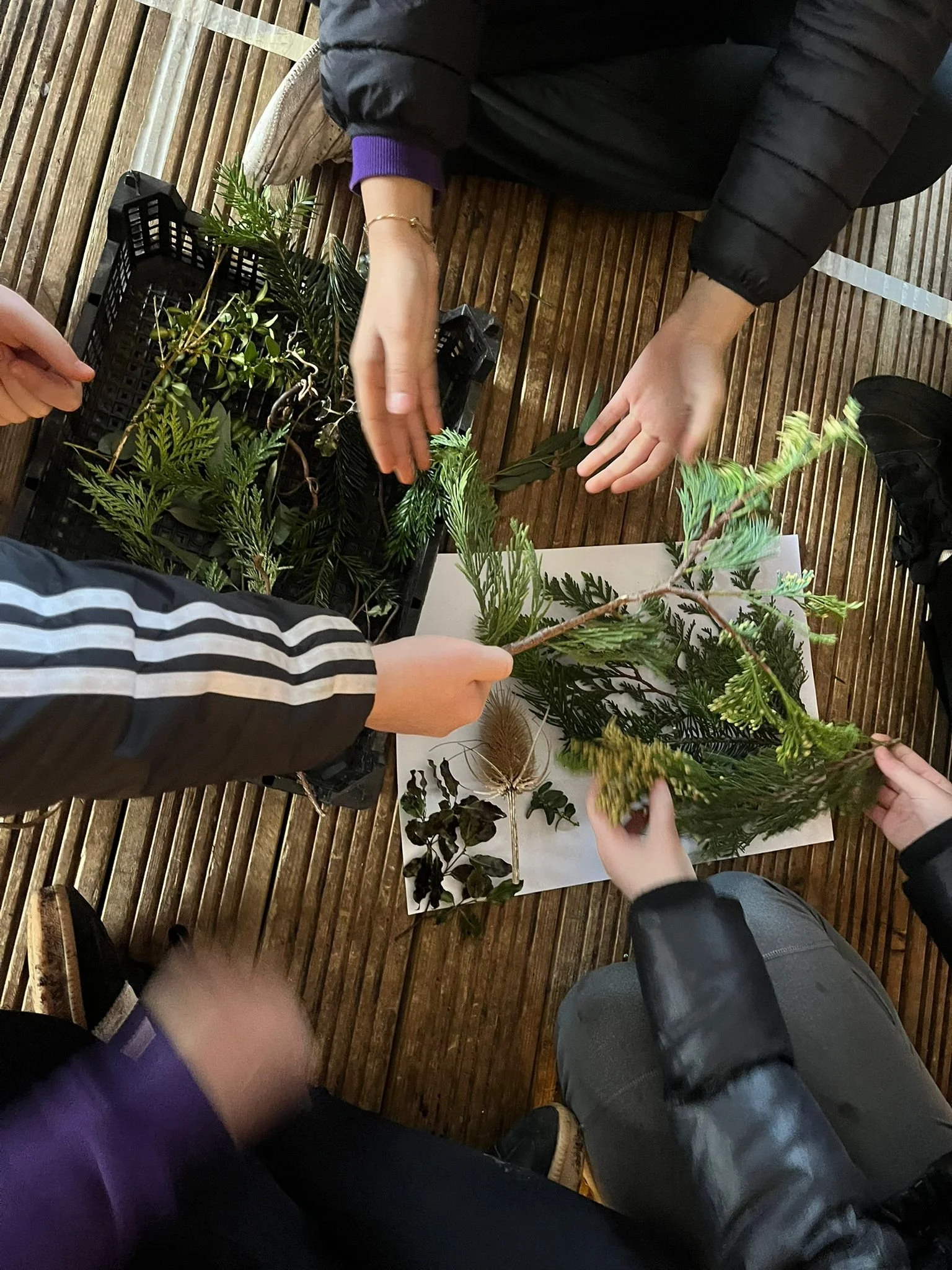 People holding different kinds of leaves and greenery