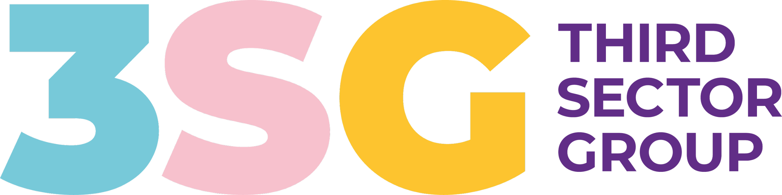 3SG - Third Sector Group