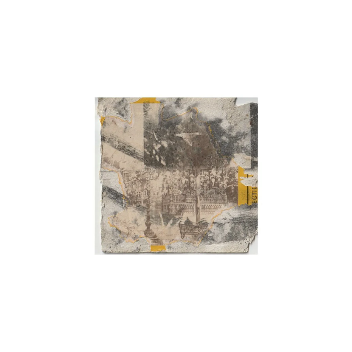 Liquid emulsion on stereoview card (2024)