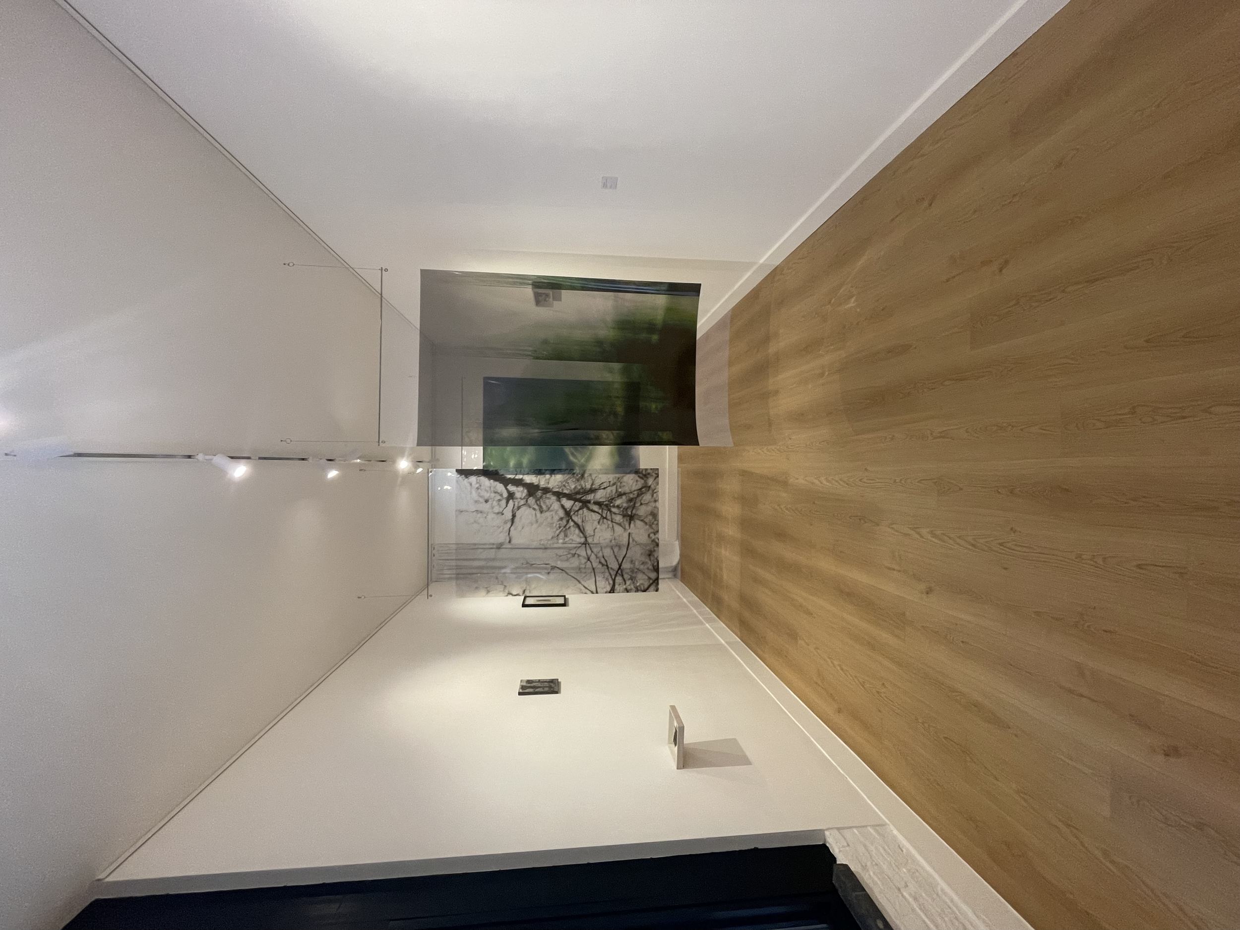 Vertigo Gallery (2024)