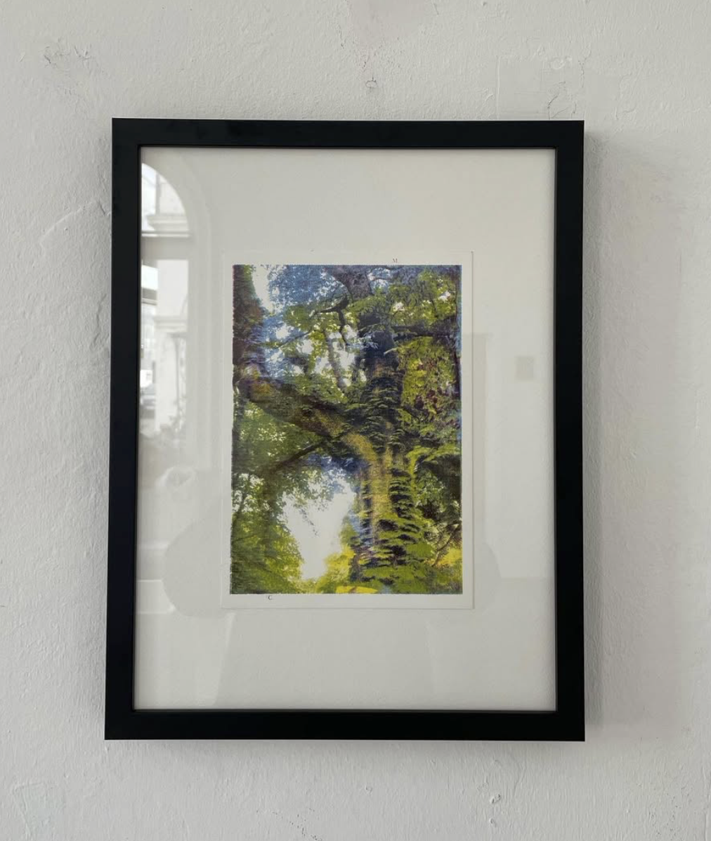 Scherm­afbeelding 2025-12-04 om 13.19.04.png