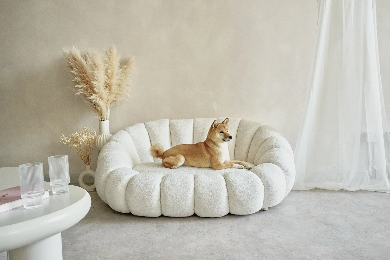 A dog lying on a plush, white, circular sofa in a minimalist living room with neutral tones, beside a vase with pampas grass and dried flowers, a white curtain, and a white table with glasses and a pink book.