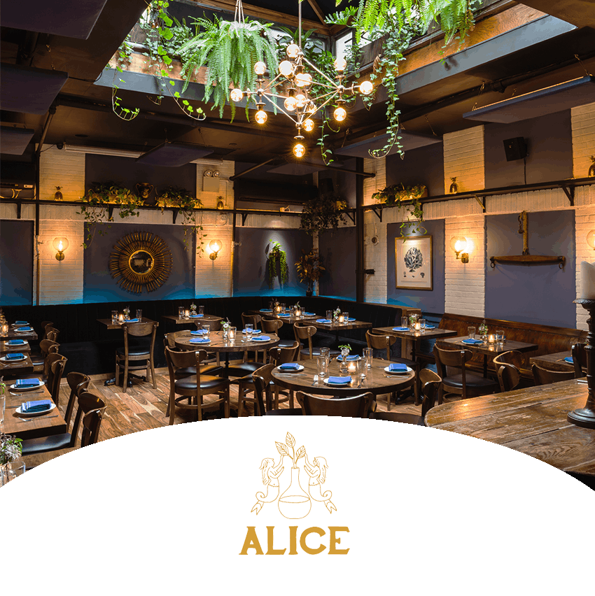Alice
