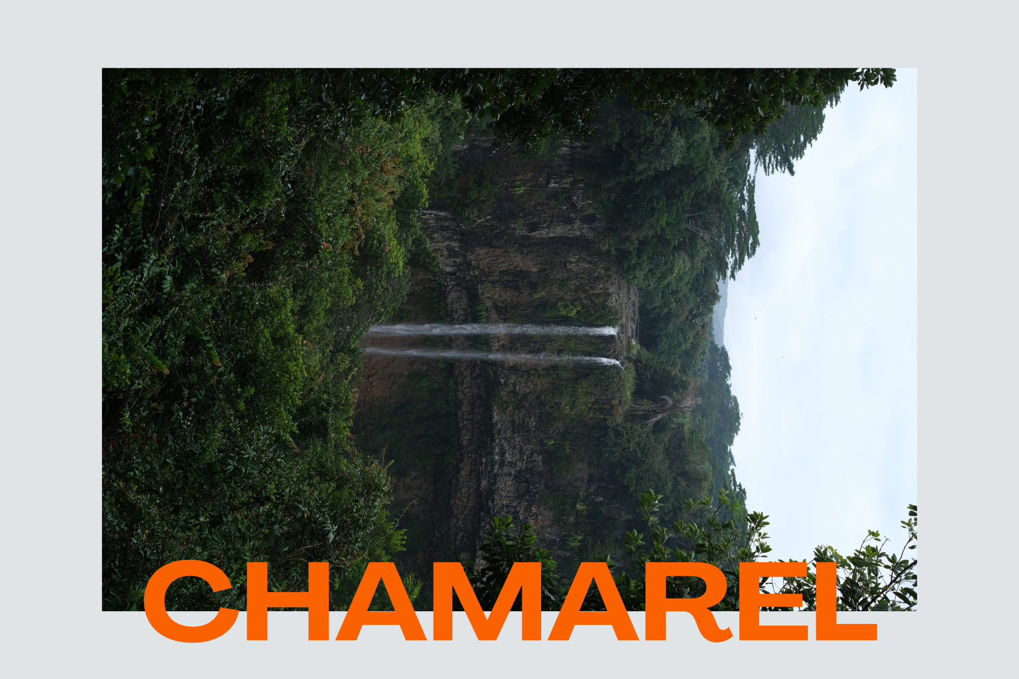 CHAMAREL.png