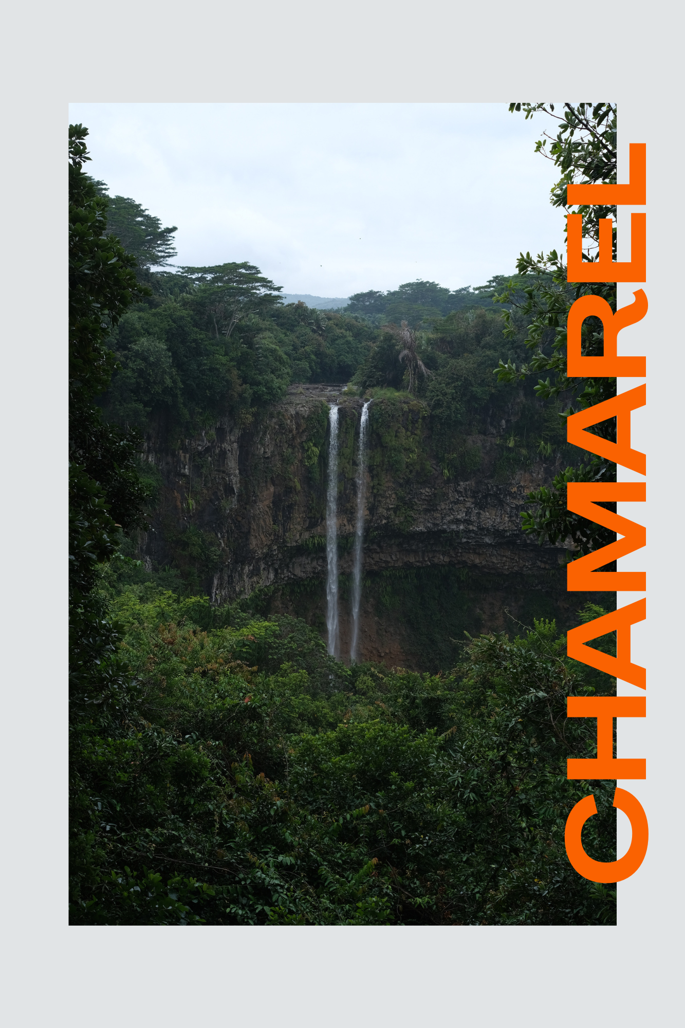 CHAMAREL.png