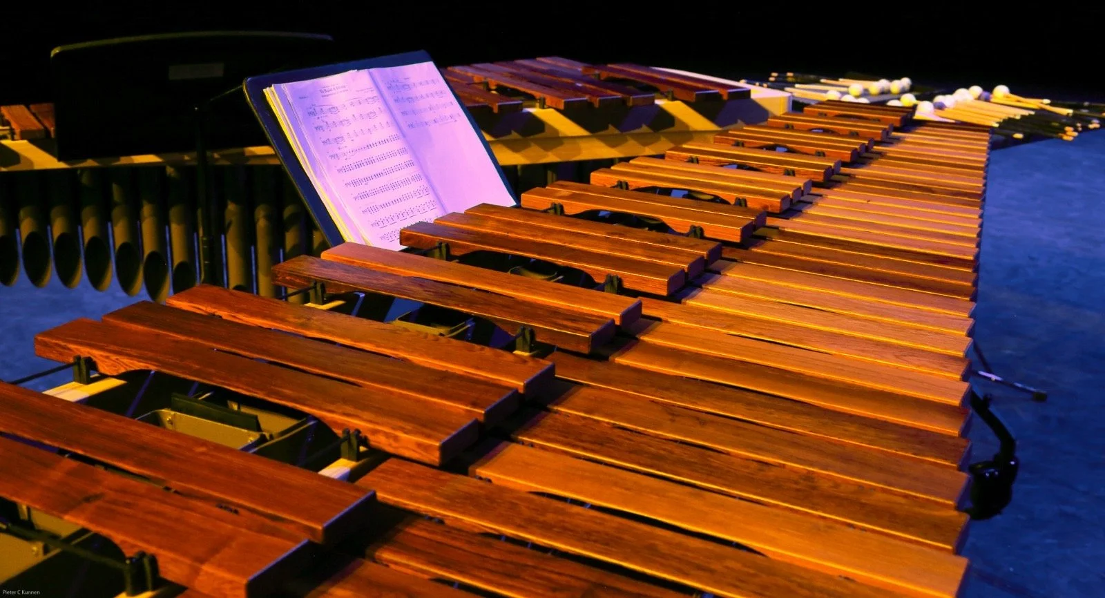 Marimba Shot Keyboard.JPEG