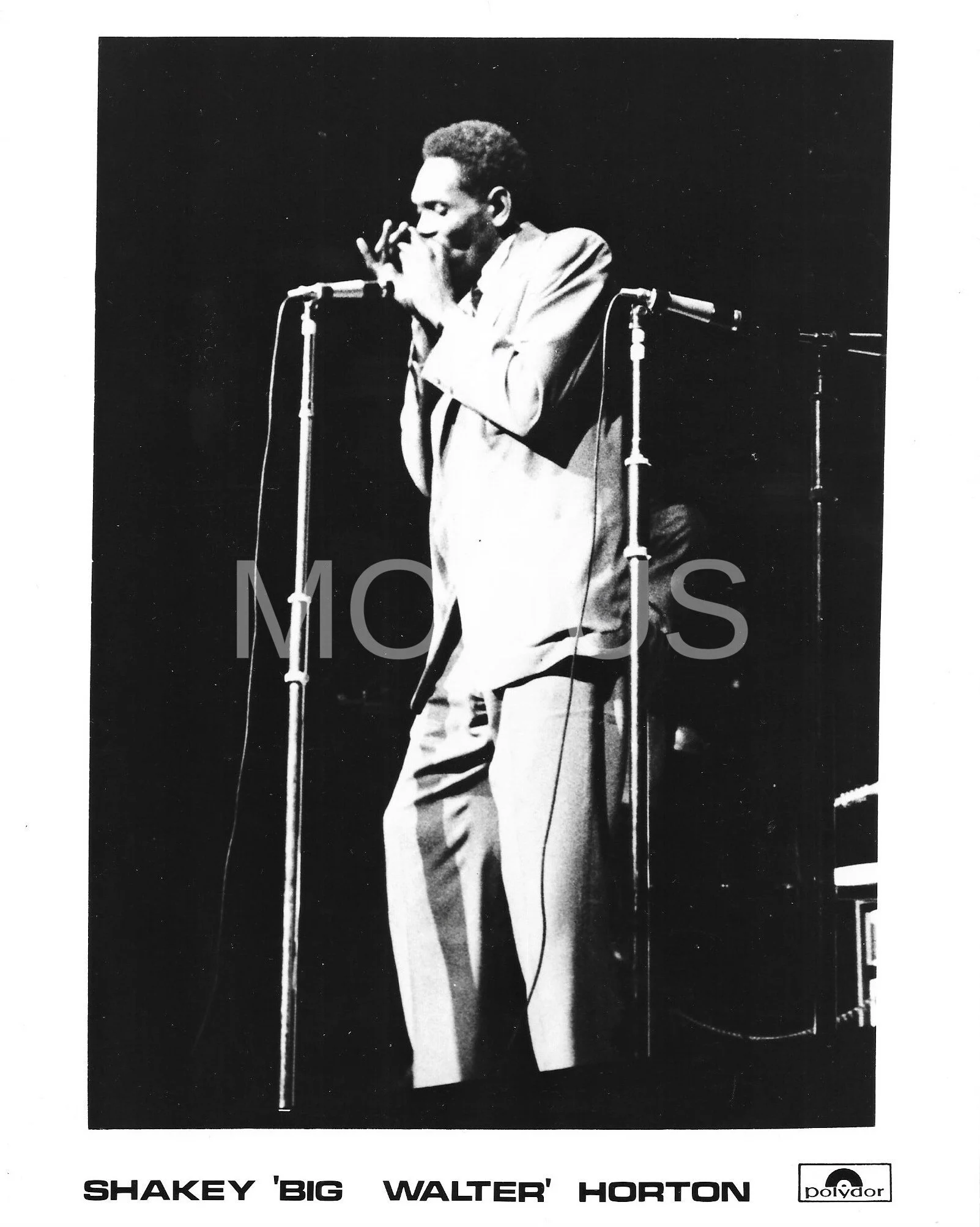 Shakey 'Big Walter' Horton - Polydor
