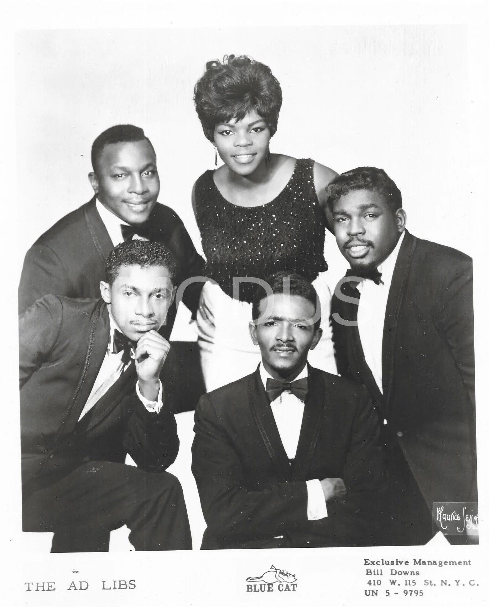 The Ad Libs - Blue Cat