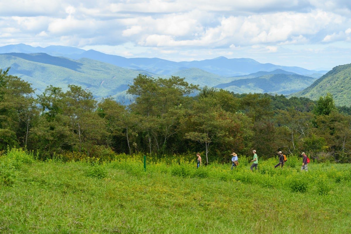 Let’s go! The 2026 Fall Peaks Hiking Series in Black Mountain runs from Oct 6-Nov 3