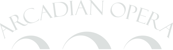 cf6e3d_62f4b74154394c66b85a5dd18d56ce25~mv2.png