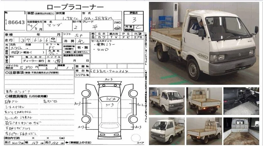 NGT14221 BONGO.JPG