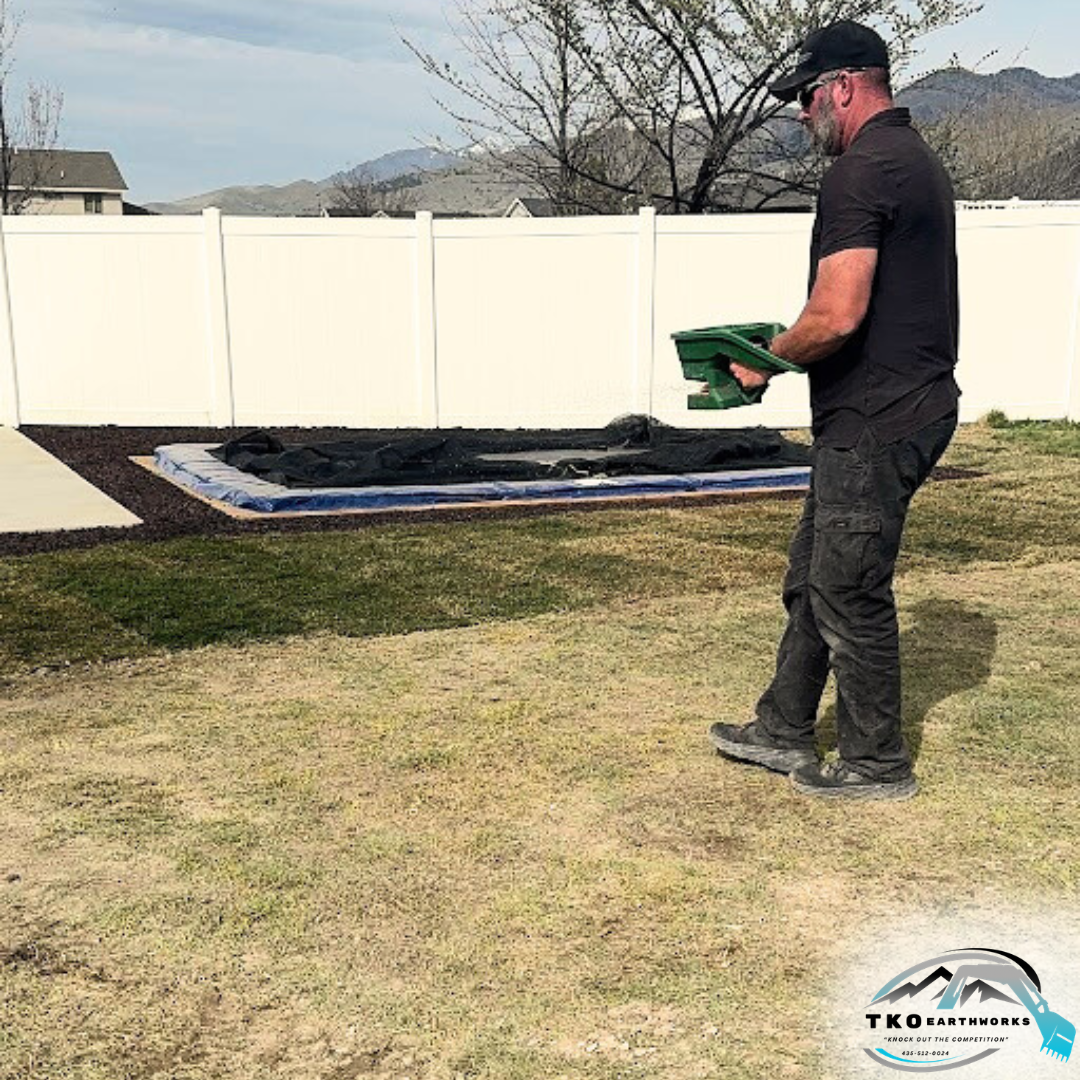 Spreading grass seed to replenish the yard 