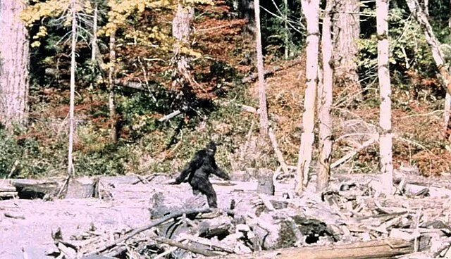 Bigfoot's Trail: Evidence & Enigma