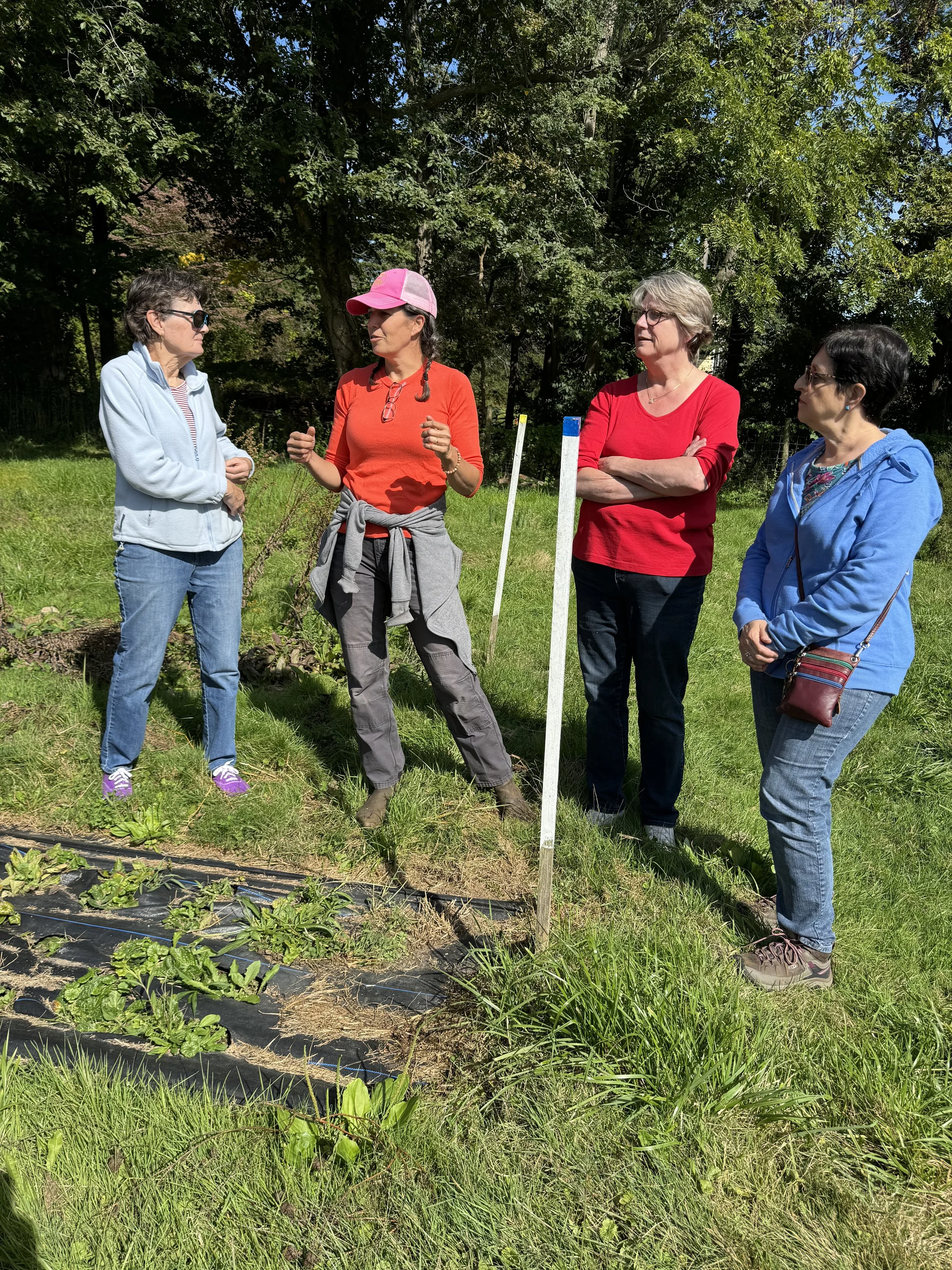 Understanding the importance of indigenous plants.