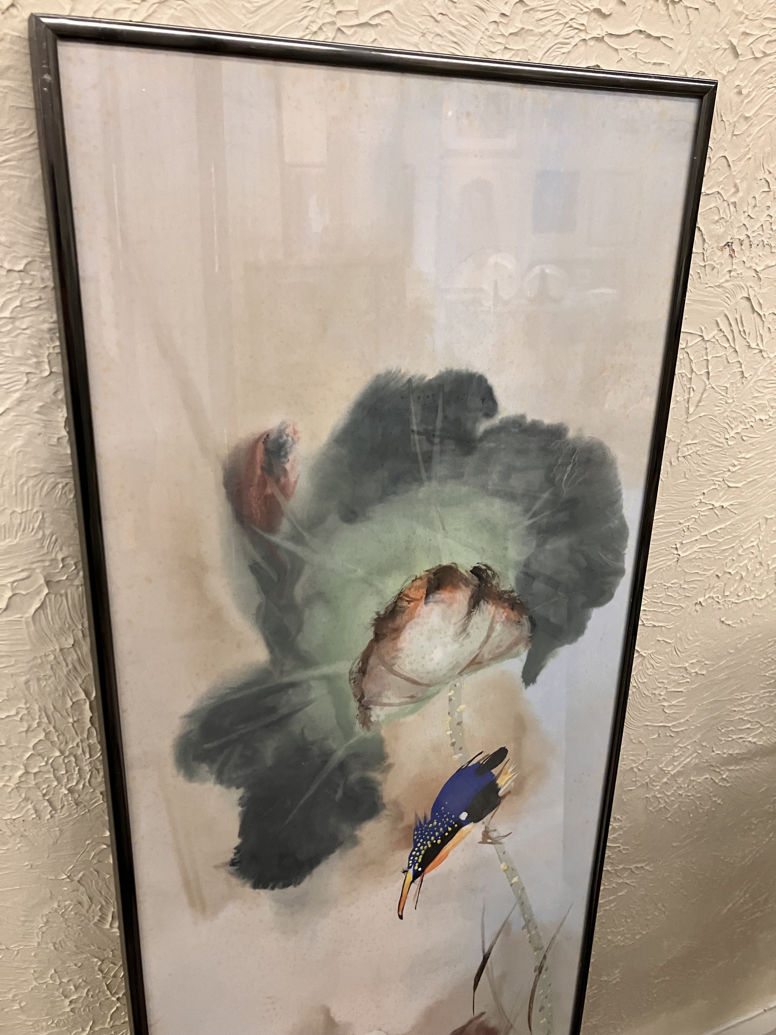 IMG_3619.jpeg