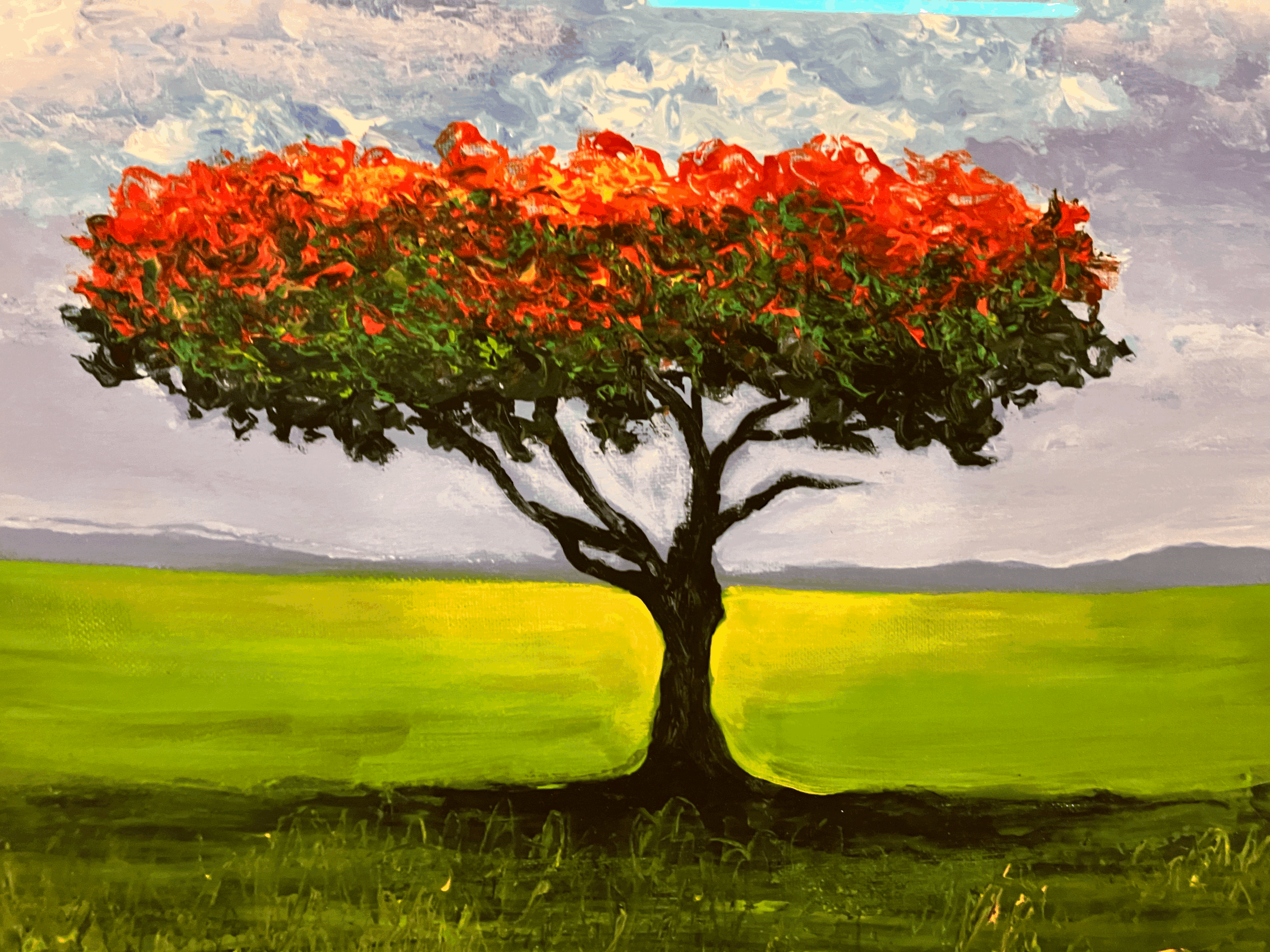 tempImage9ndj9R.gif