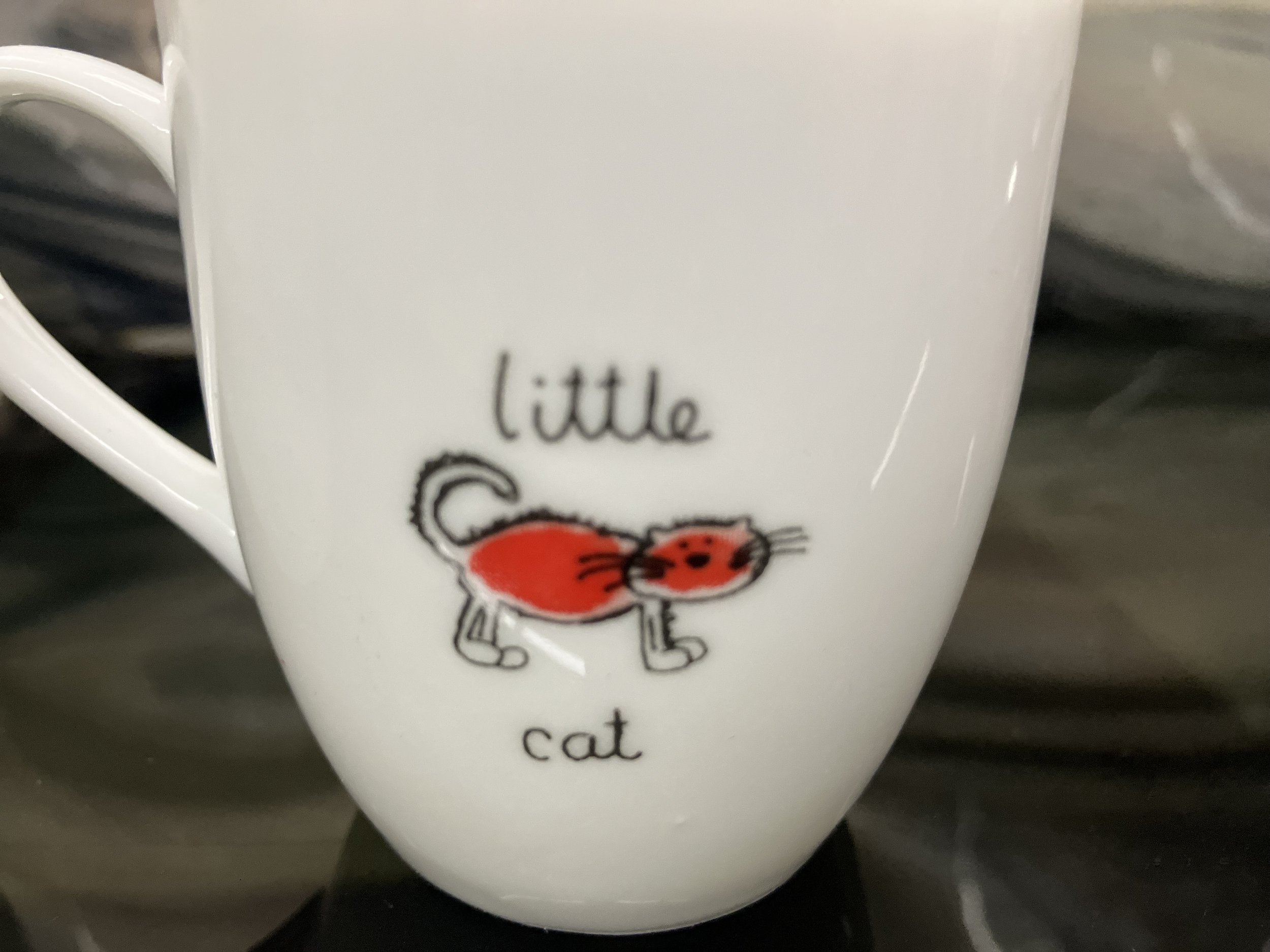 IMG_3840.jpeg