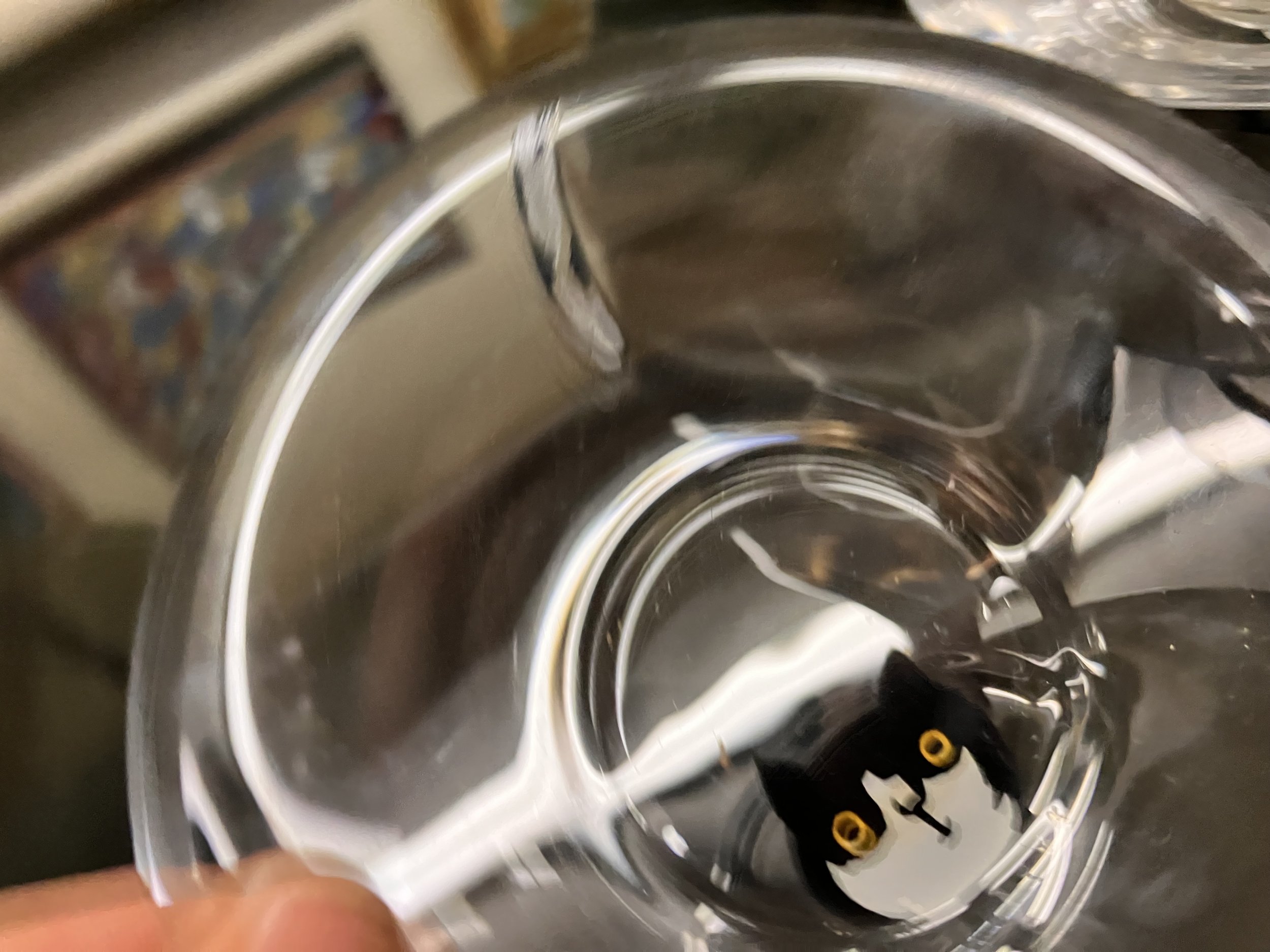 IMG_3852.jpeg