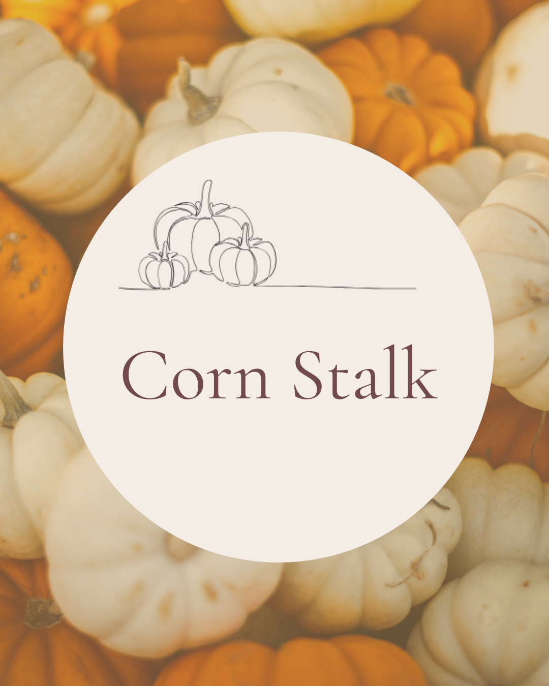 Corn Stalk