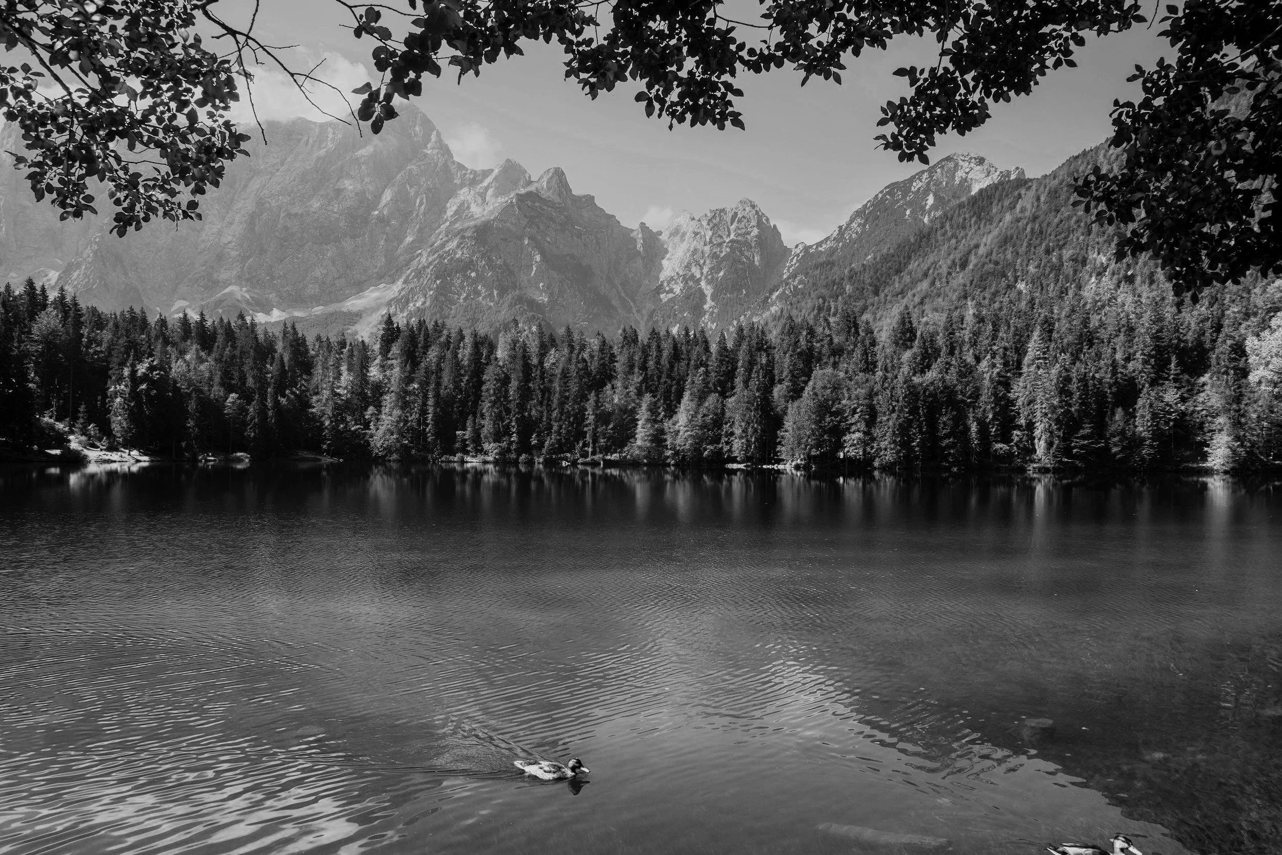 TRANSFORMING LEGACY PLATFORMS INTO A MODERN DATA LAKEHOUSE