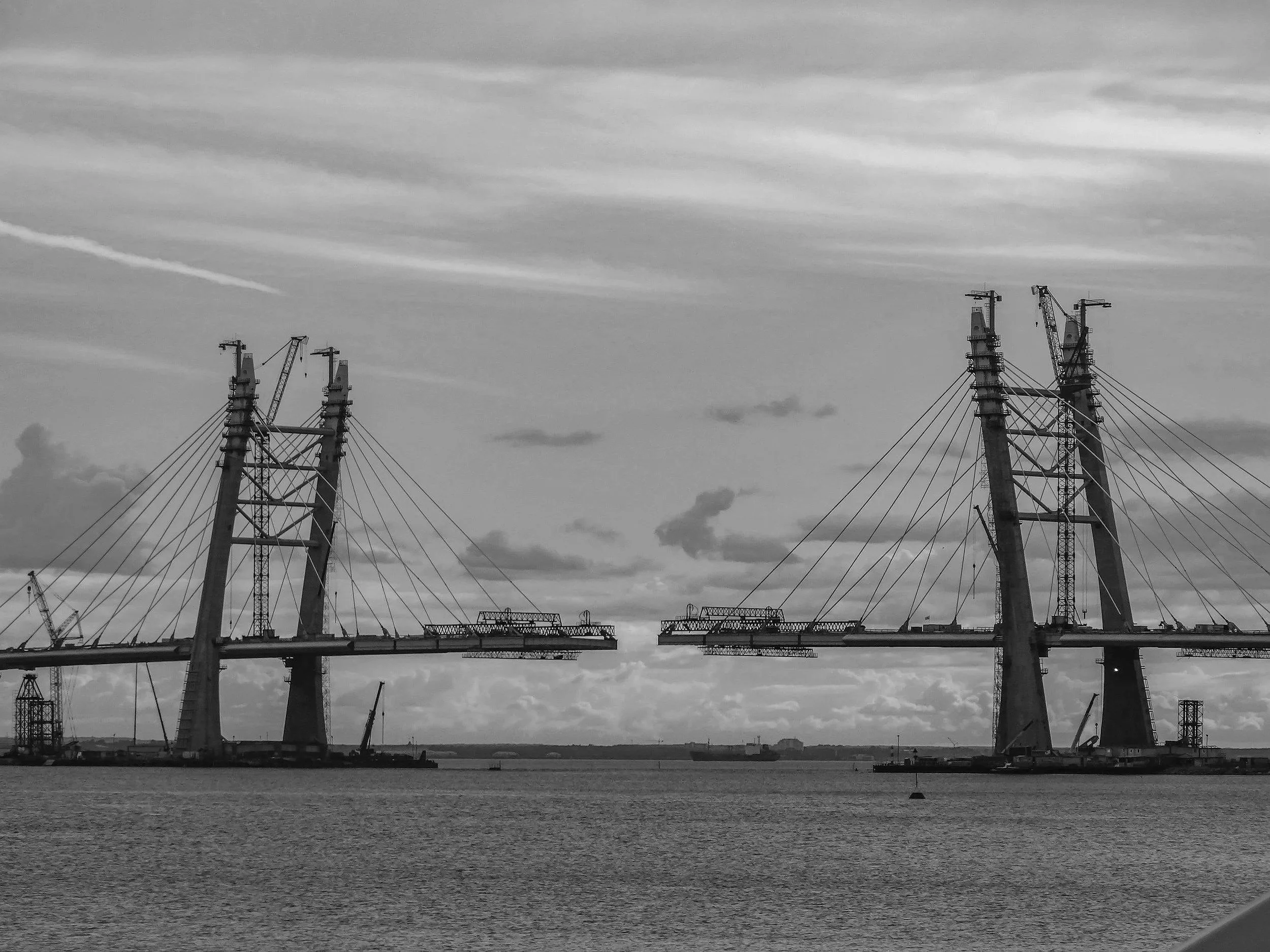 JOINT VENTURE FEASIBILITY FOR TWO GLOBAL DATA LEADERS