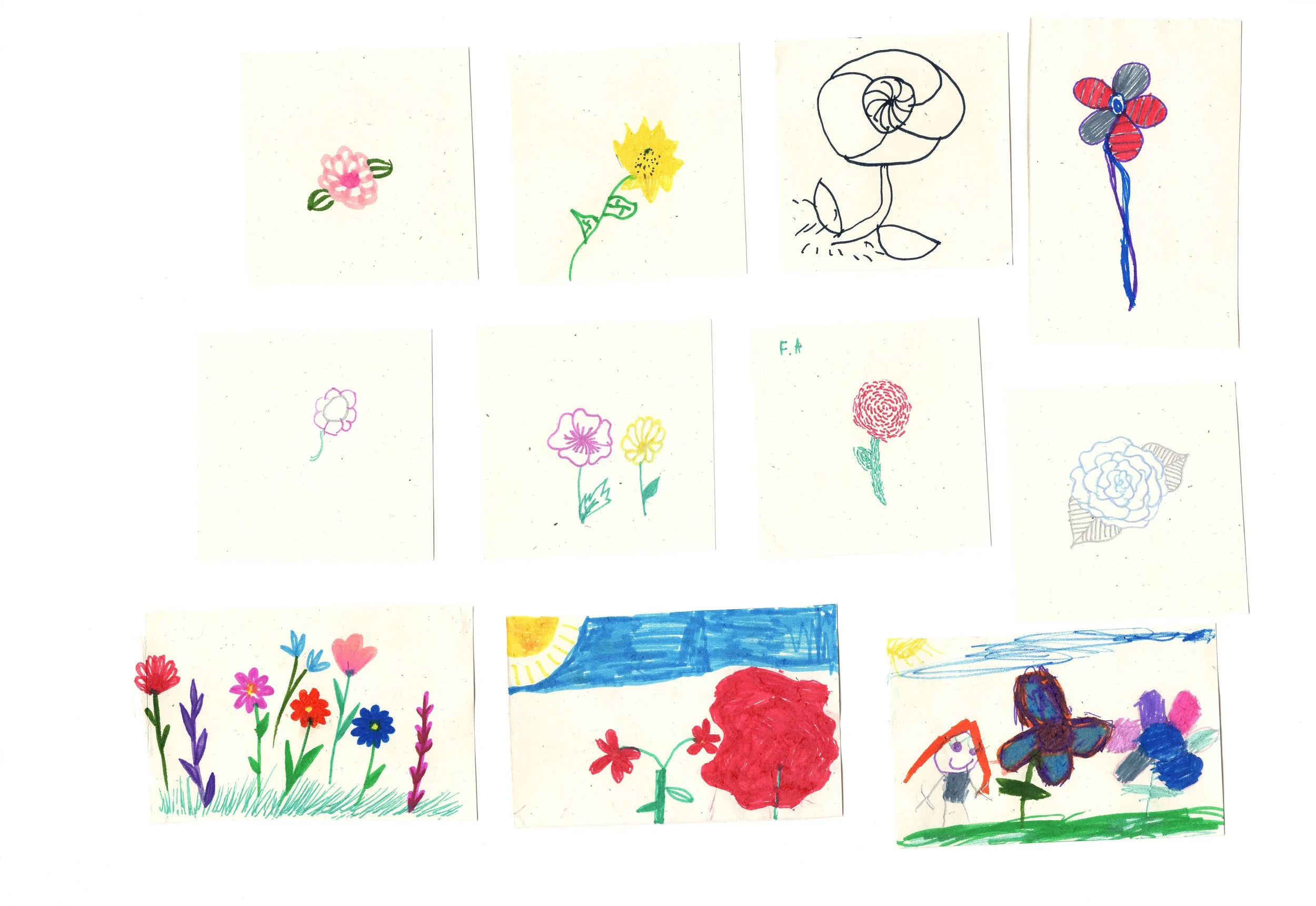 Drawings of flowers
