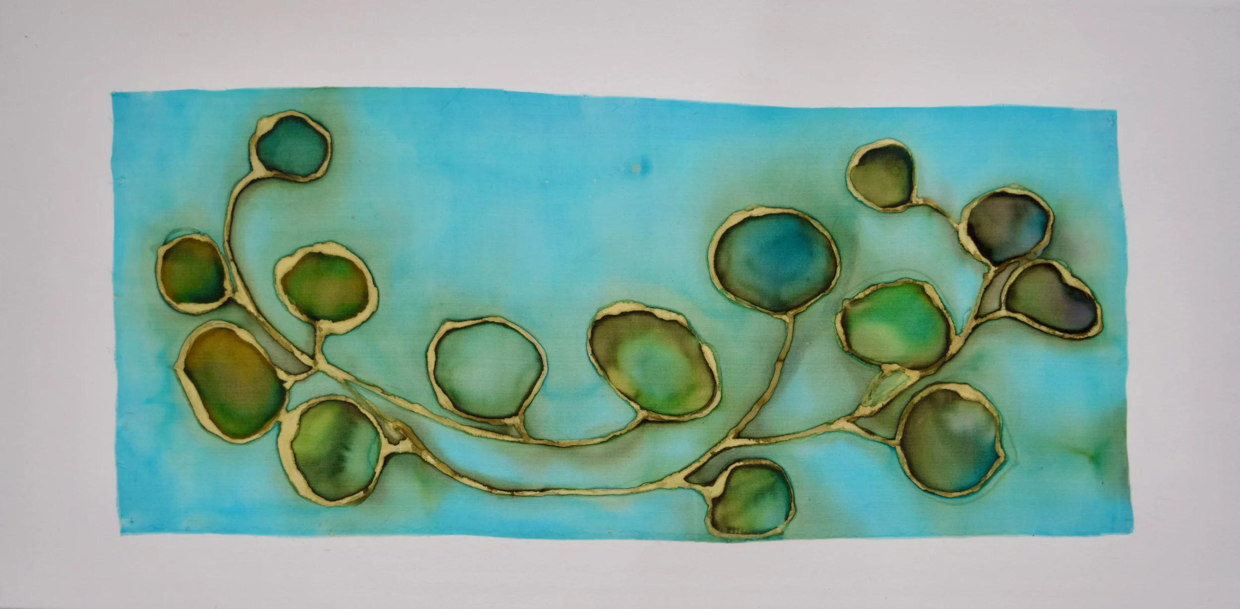 Eucalyptus in Bloom (silk on canvas)