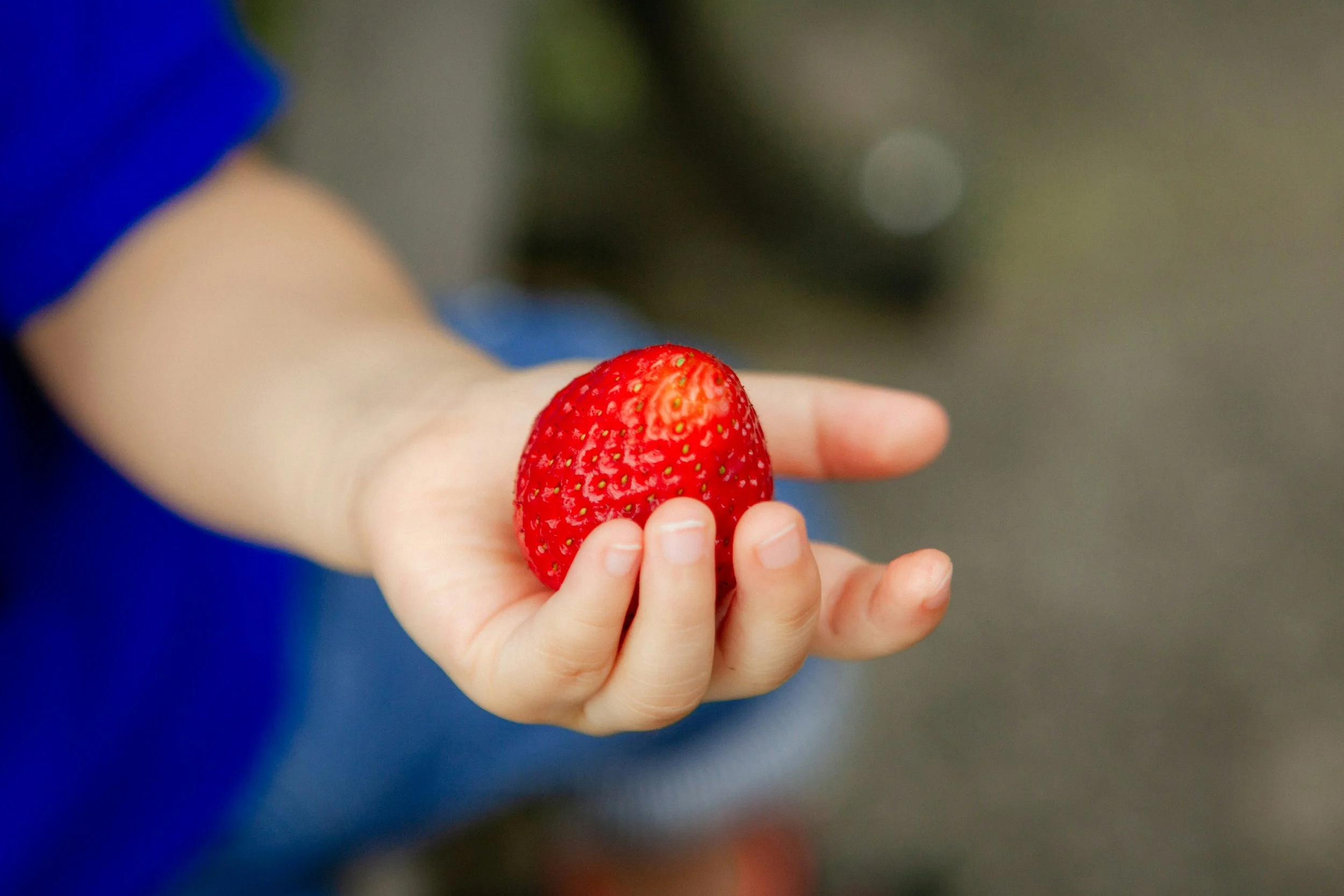 Interventions en santé publiques et formations