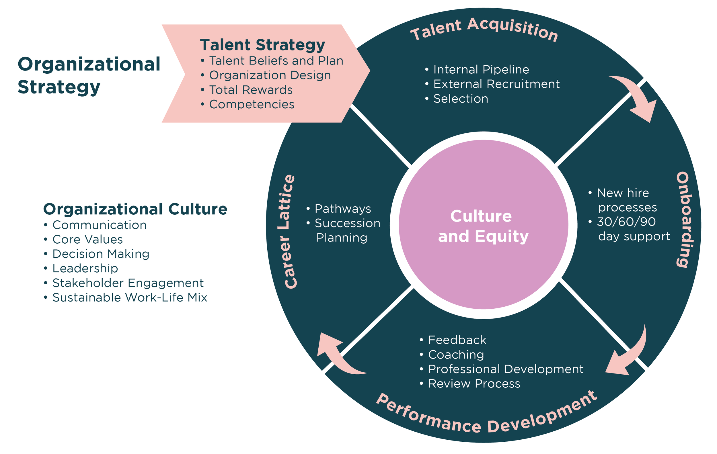 A circular chart showing the talent management cycle within an organization