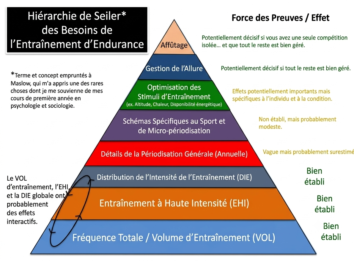 La pyramide de Seiler : hiérarchiser les priorités pour mieux progresser en endurance