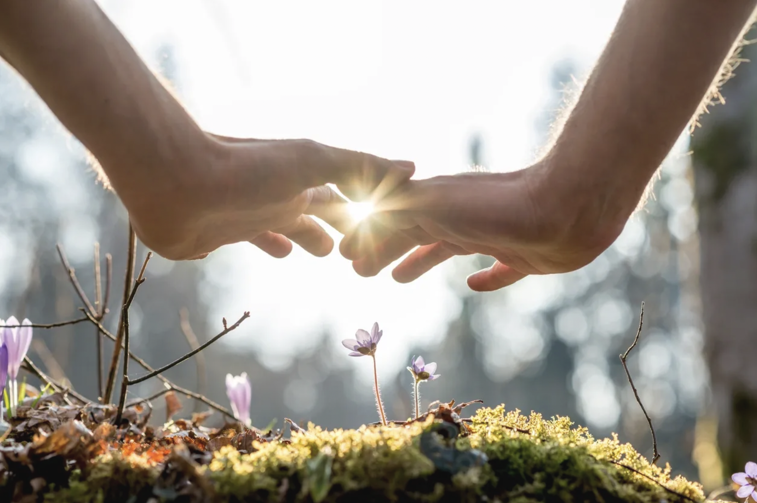 Humans Draw Energy From Each Other the Same Way Plants Do