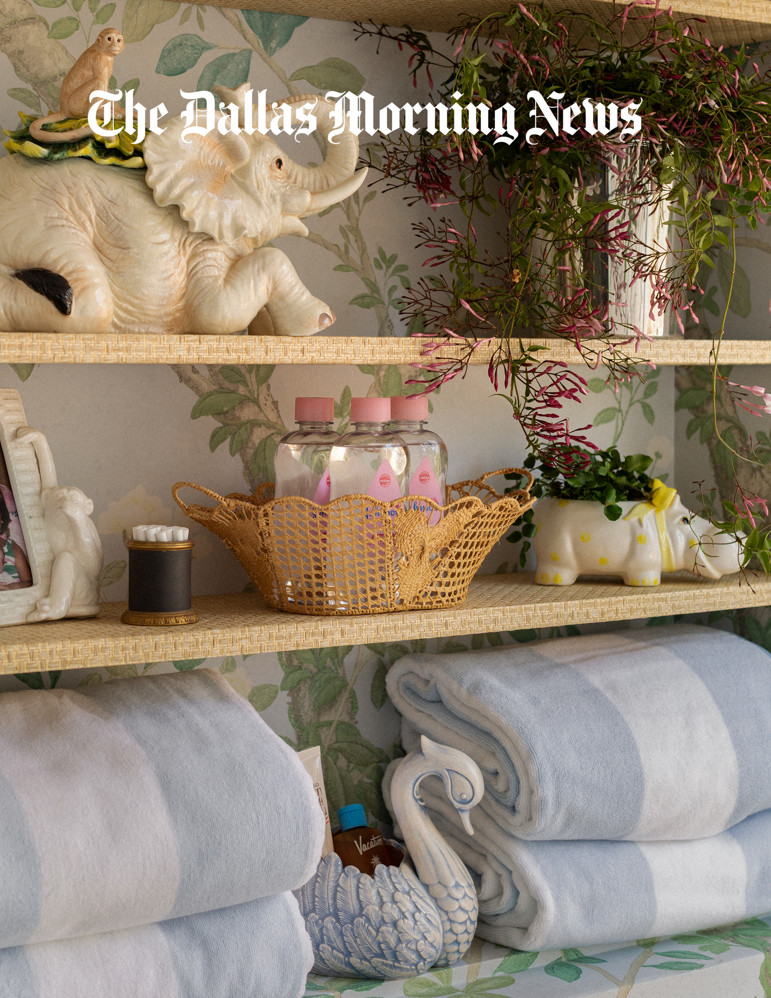 Dallas Morning News Article