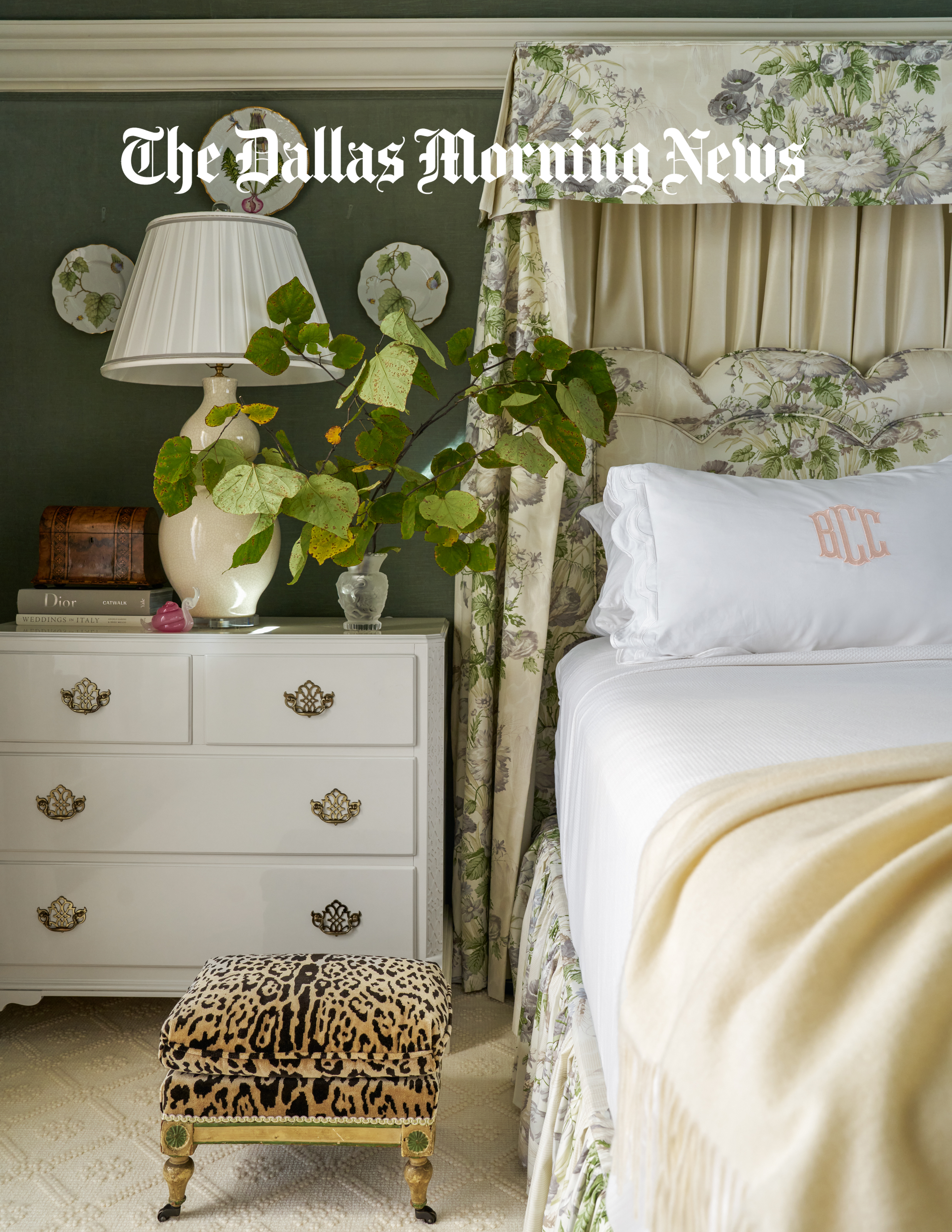 Dallas Morning News Article