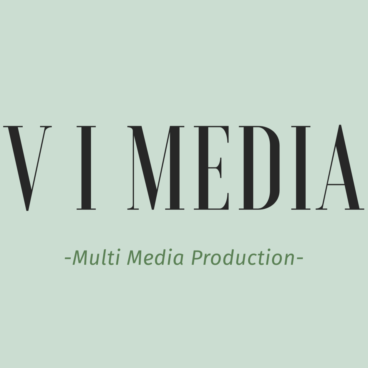 V I MEDIA
